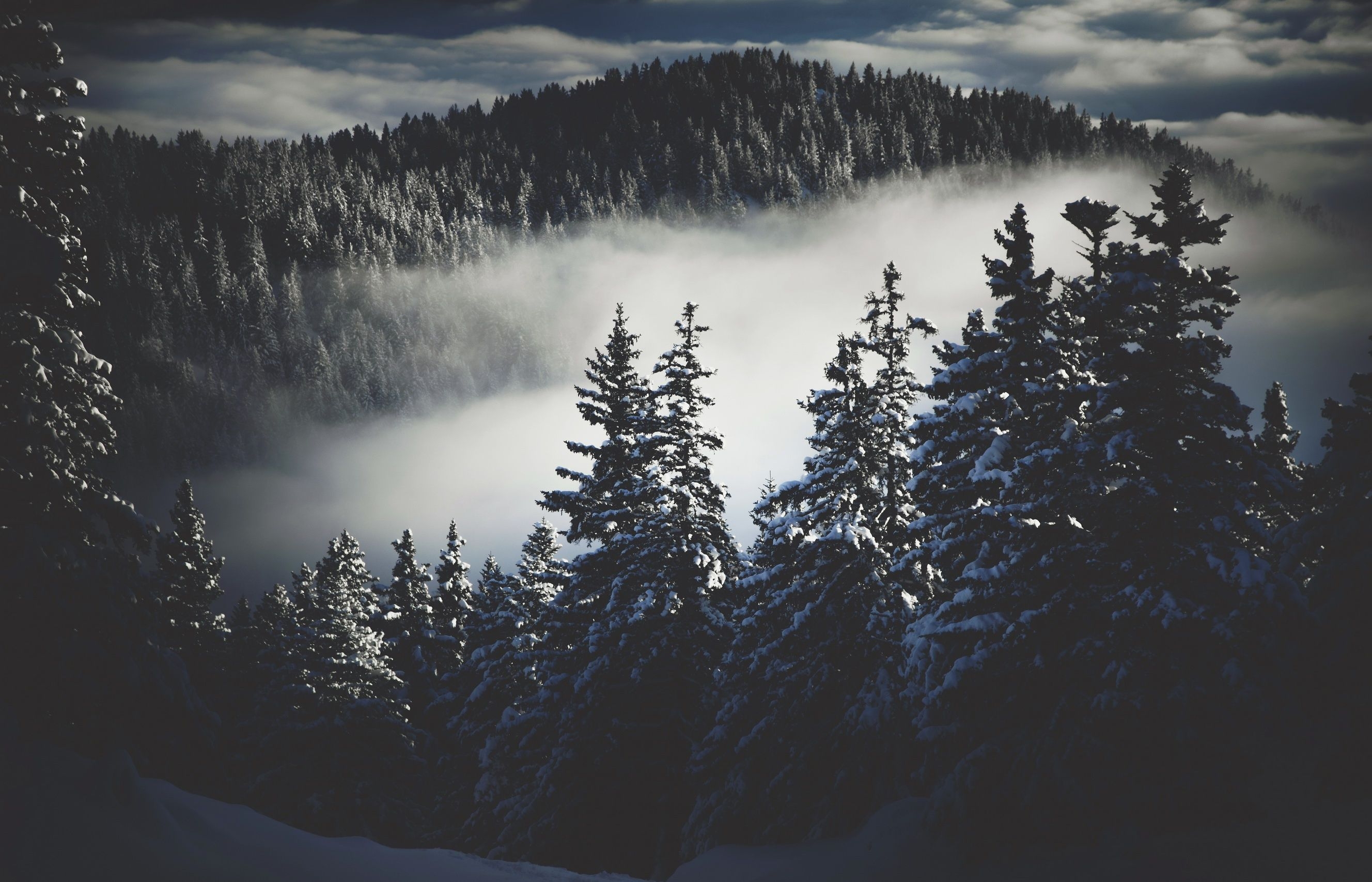 2660x1710 Dark Winter Wallpaper Free Dark Winter Background, Desktop