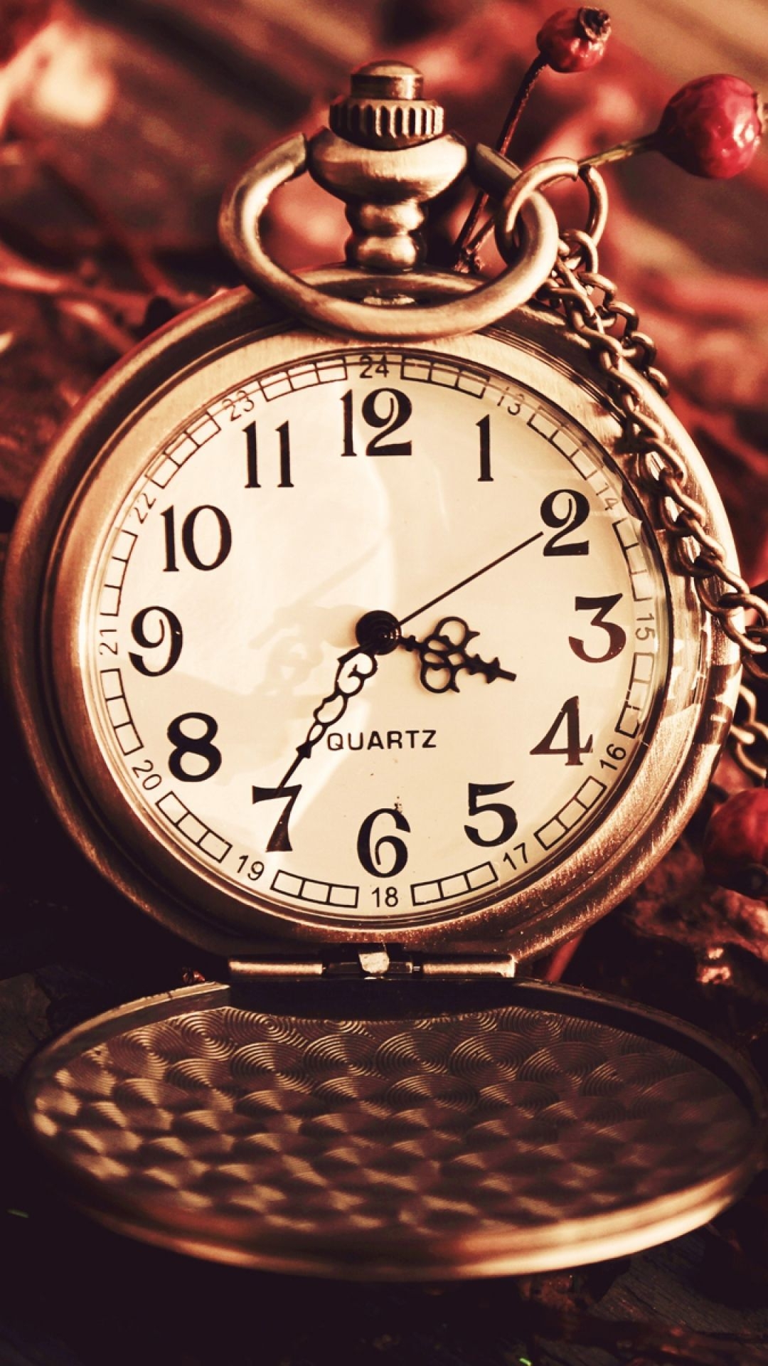 1080x1920 Vintage Watch Pocket Macro Autumn Berries Dry Chain Dial iPhone 8 Wallpaper Free Download, Phone