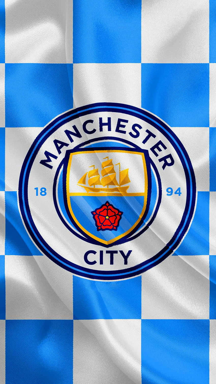 850x1520 Manchester City Football Club Wallpaper, Phone