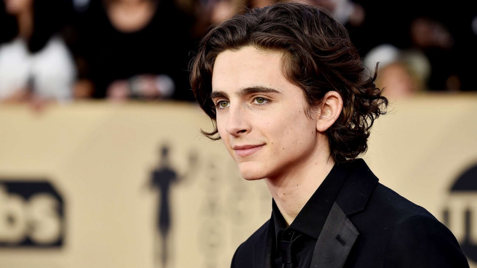 1600x900 Oscar Nominee Timothee Chalamet On 'Call Me By Your Name, ' And The Time He Embarrassed Himself With 'Lady Bird' Co Star Saoirse Ronan, Desktop