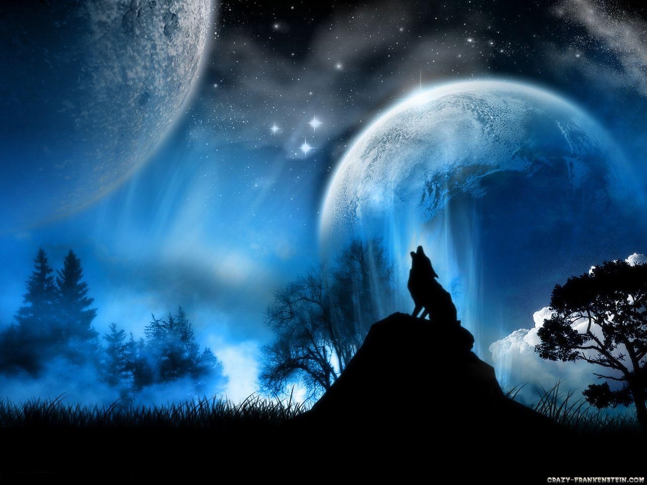 1280x960 Cool Wolf Background Wallpaper, Desktop