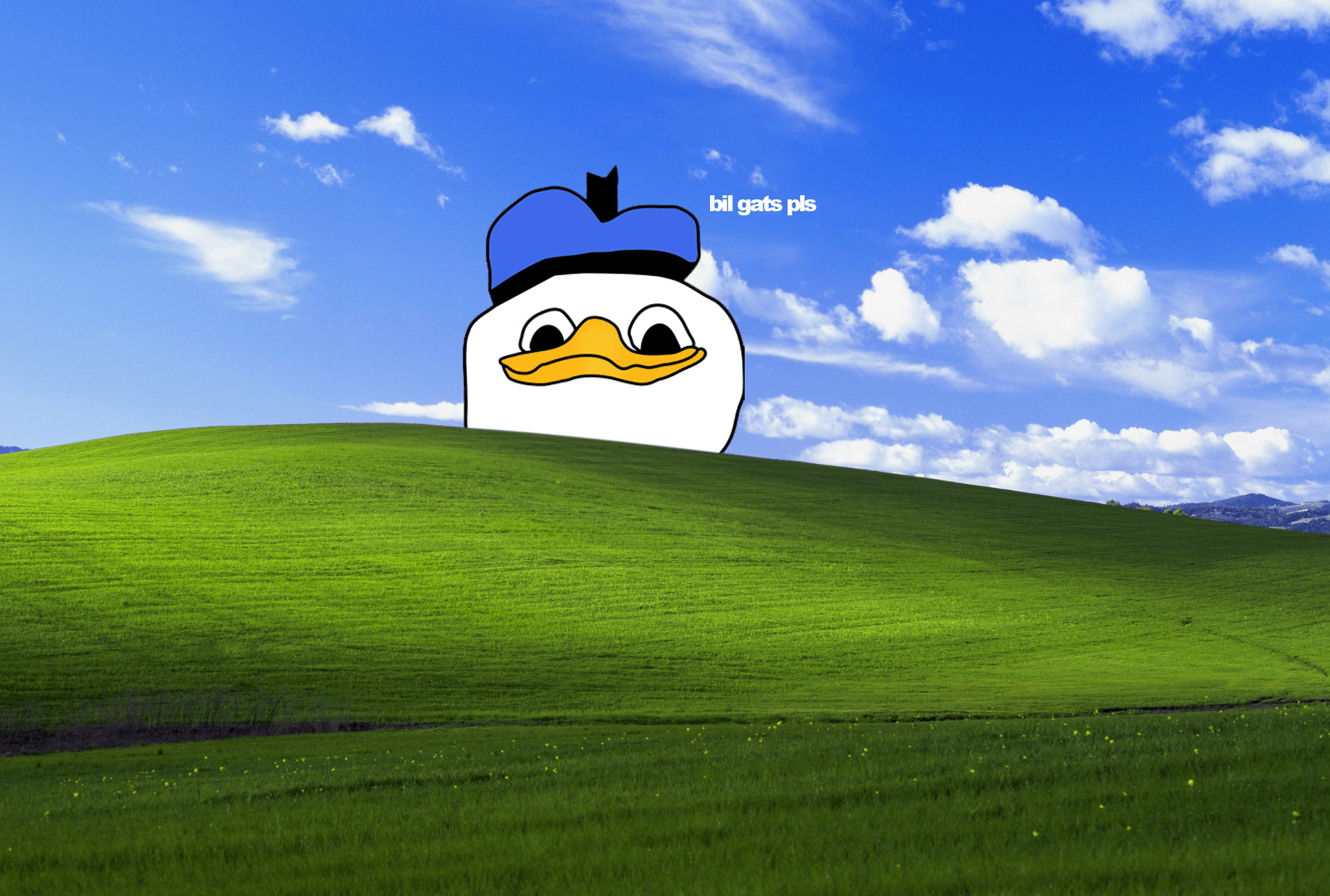 1920x1300 Dolan Blss, Desktop