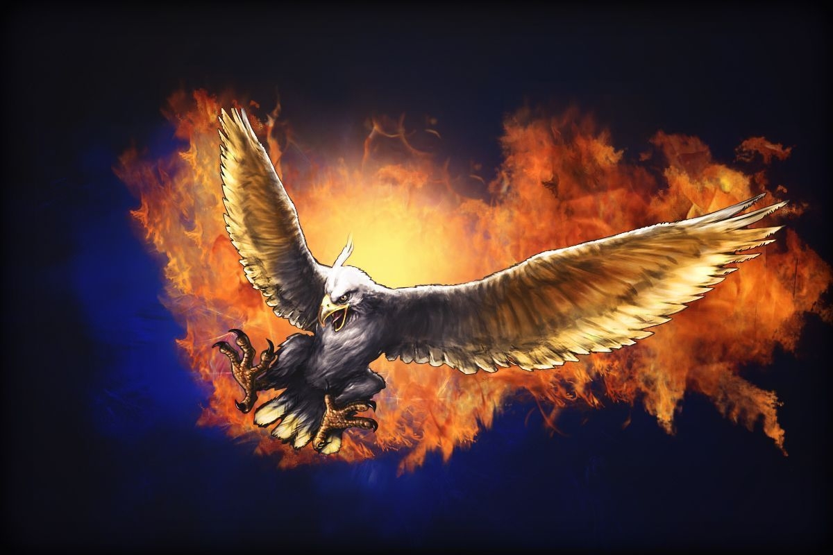 1200x800 Cool Eagle Wallpaper Free Cool Eagle Background, Desktop