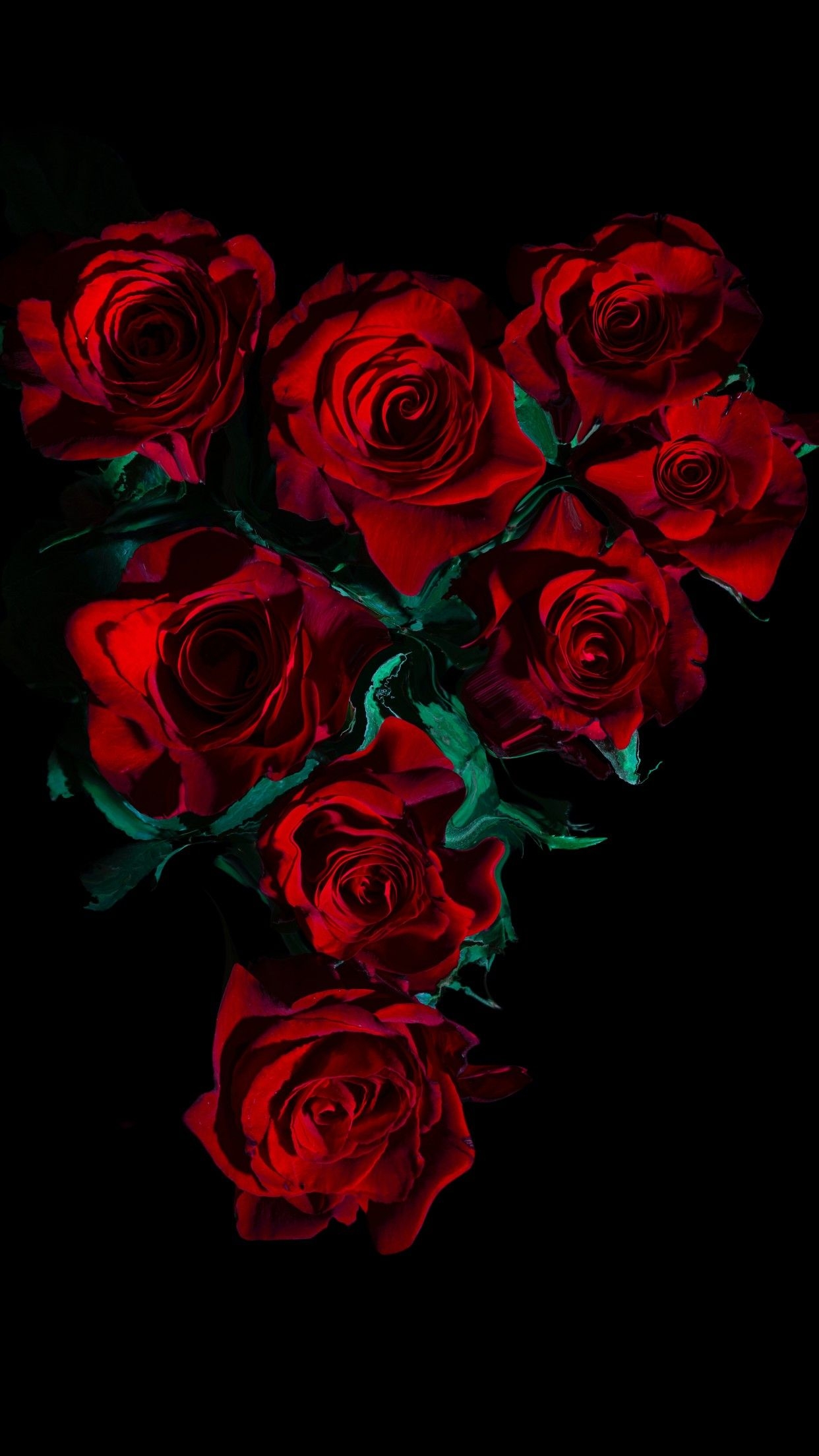 1250x2210 Red Roses 4K Wallpaper, Flower bouquet, Black background, 5K, 8K, Flowers, Phone