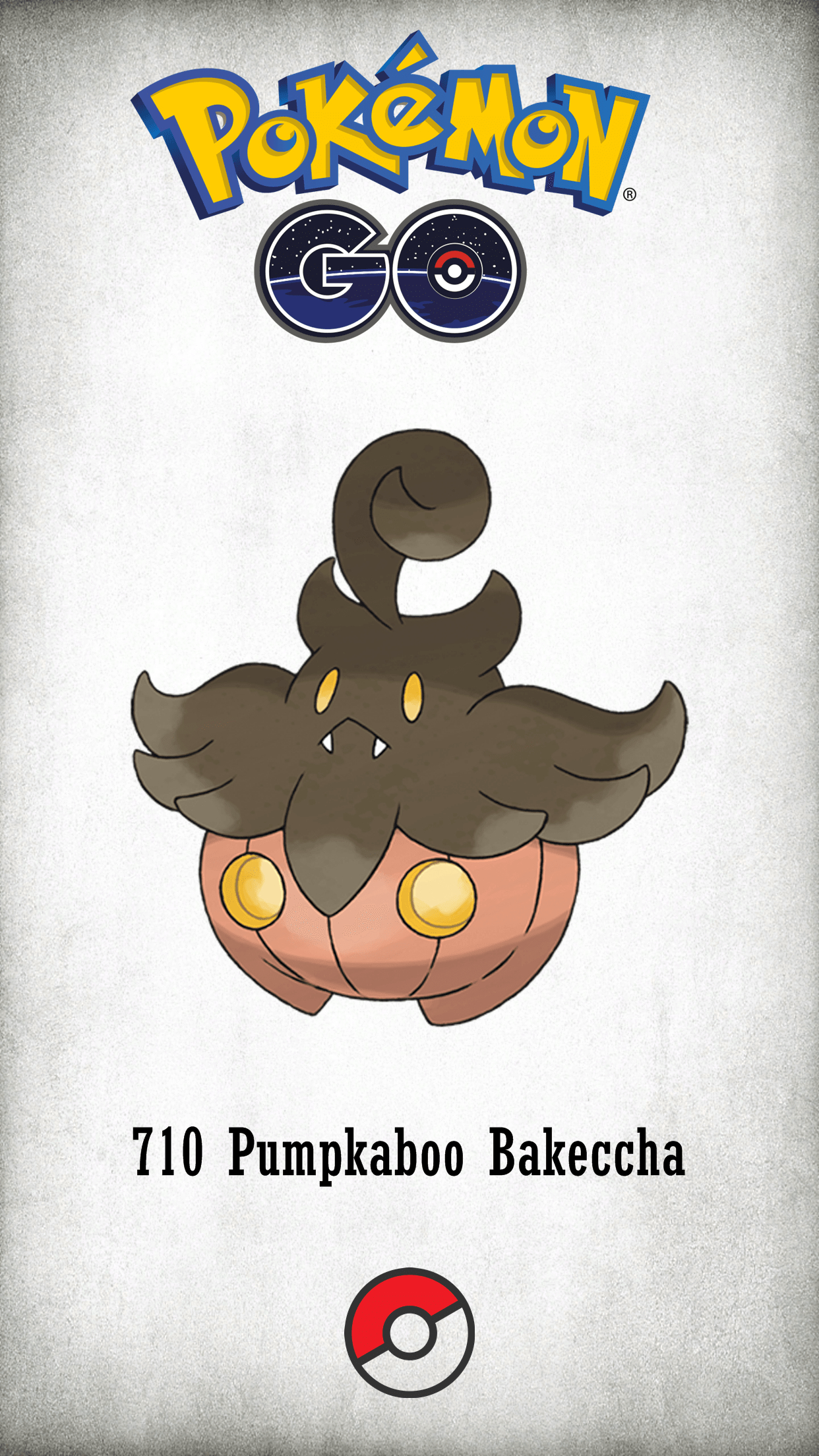 1250x2210 Pumpkaboo Bakeccha, Phone