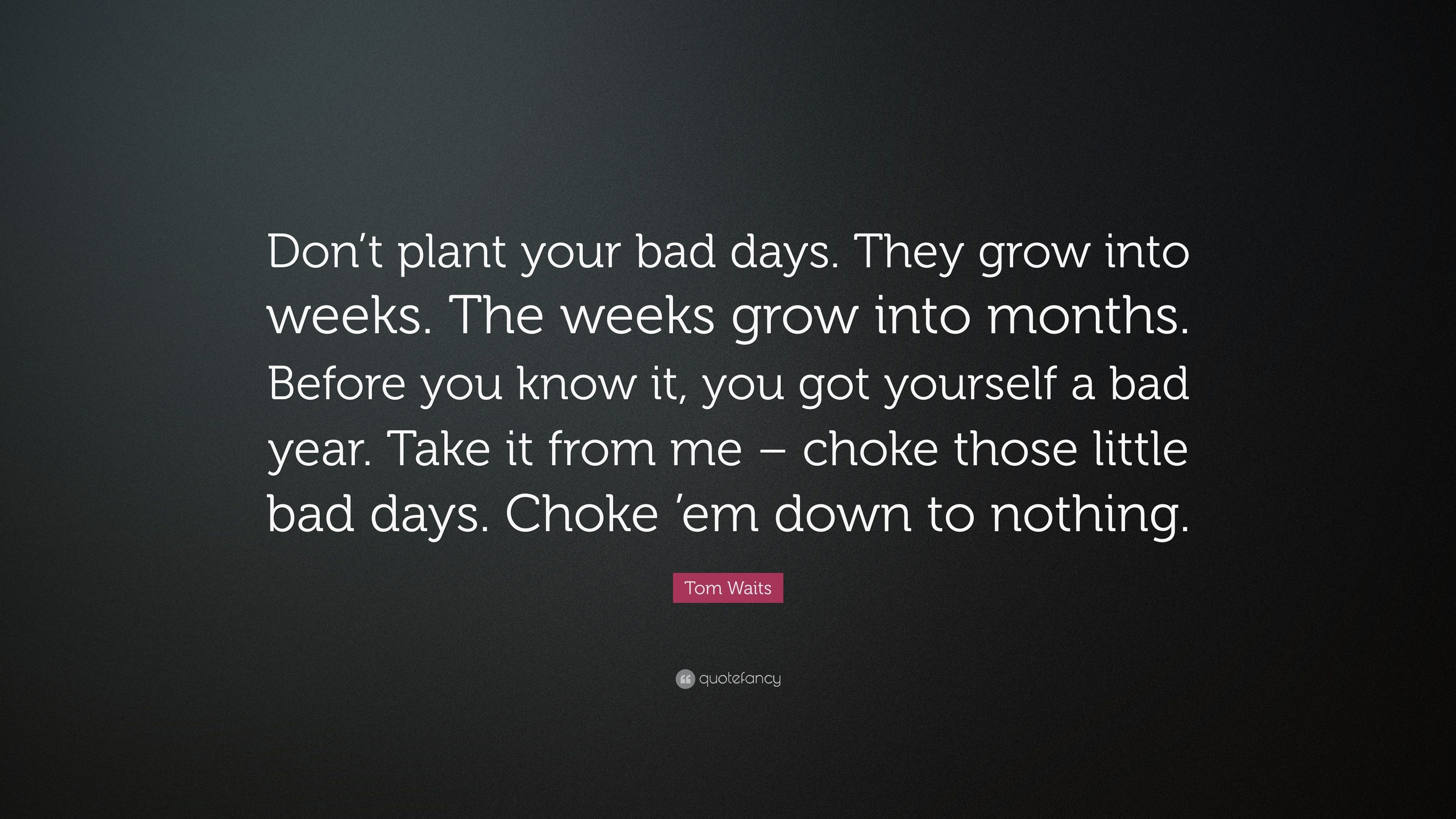 3840x2160 Tom Waits Quote: “Don't plant your bad days. They grow into weeks, Desktop