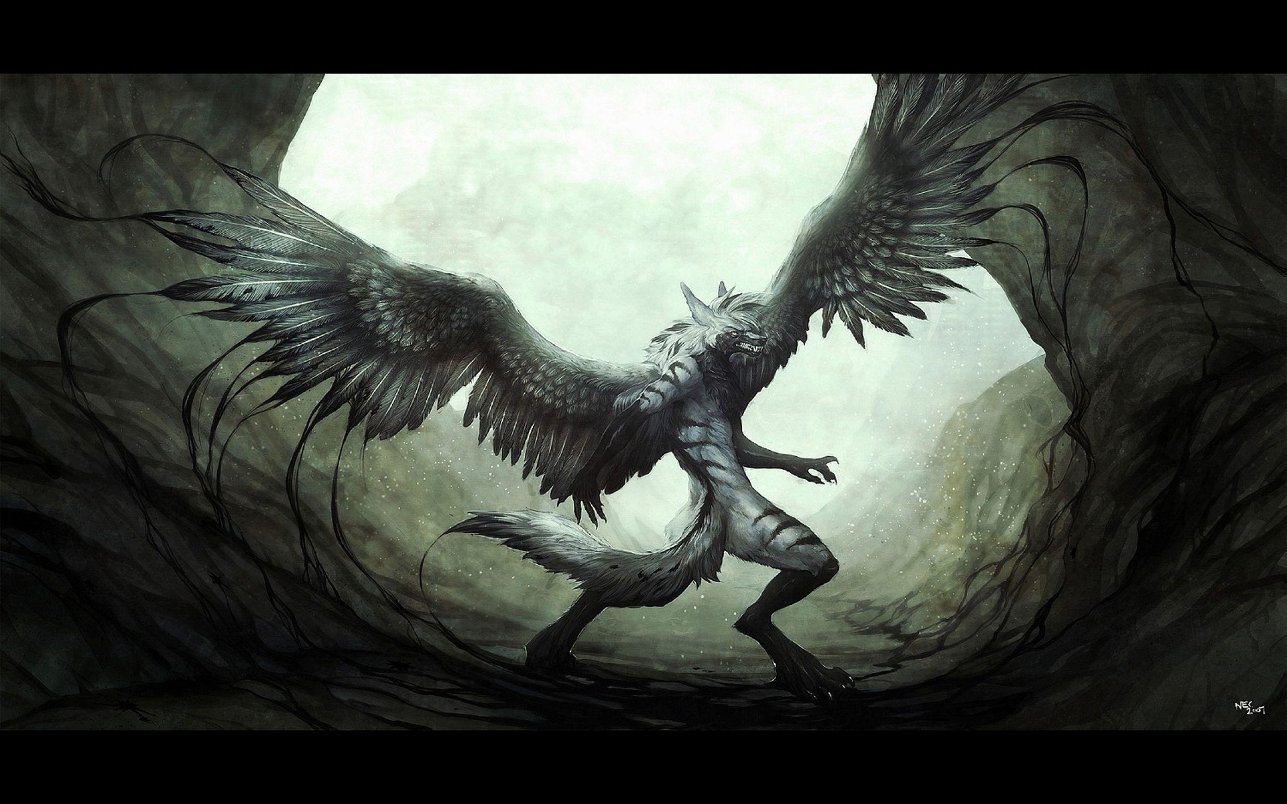 2560x1600 Fantasy Winged Wolf Furry Picture Wallpaper Wallpaper, Desktop