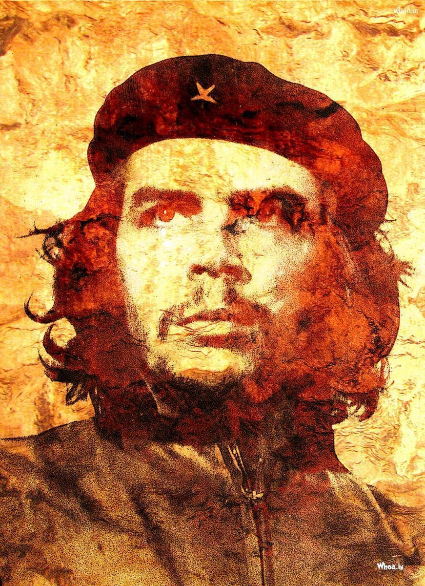 880x1200 Che Guevara Face And Quotes With Red Background HD Wallpaper, Phone