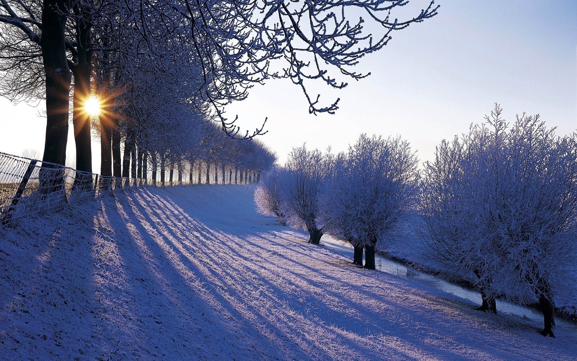 1920x1200 Country Winter Wallpaper for Desktop, Desktop