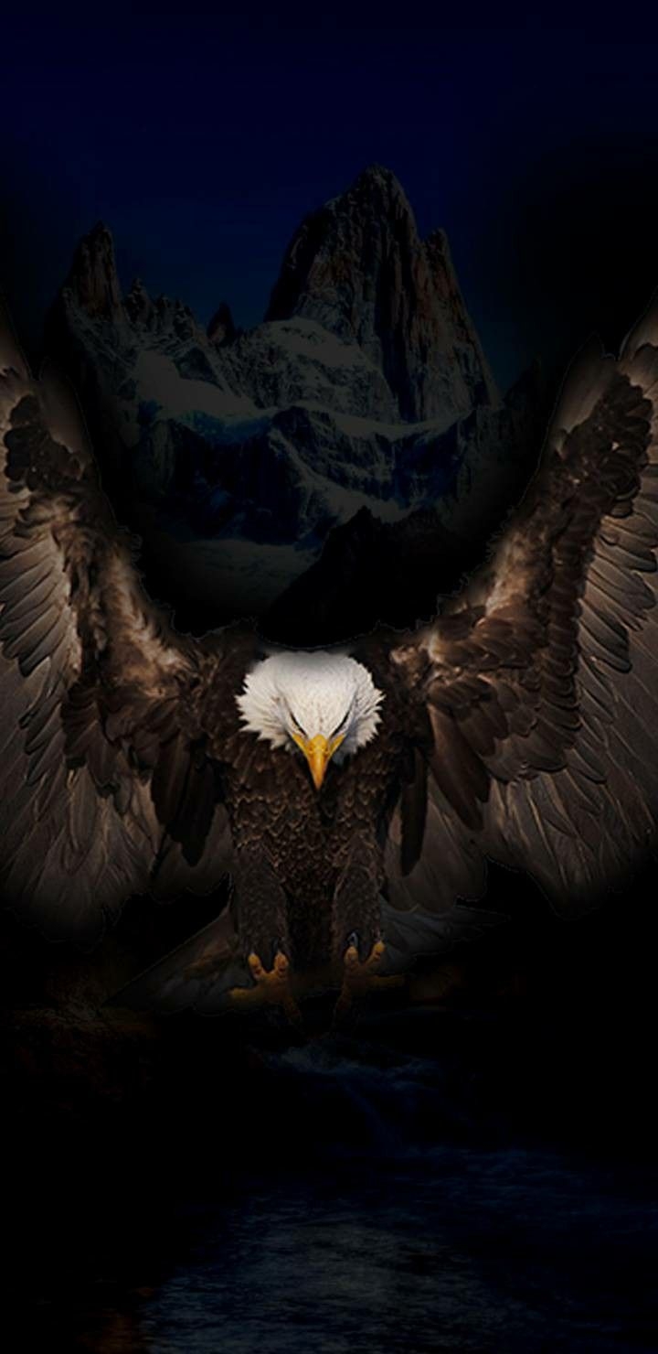 720x1480 4k Ultra HD Black wallpaper, Eagle wallpaper for Android and iPhone. Eagle wallpaper, Black wallpaper, Eagle picture, Phone