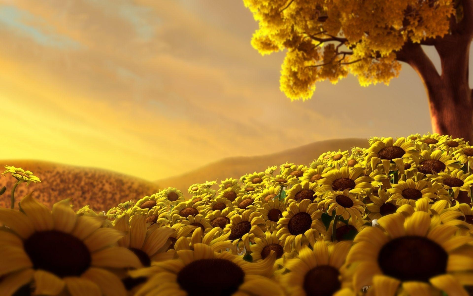 1920x1200 Sunflowers Wallpaper HD Picture, Desktop