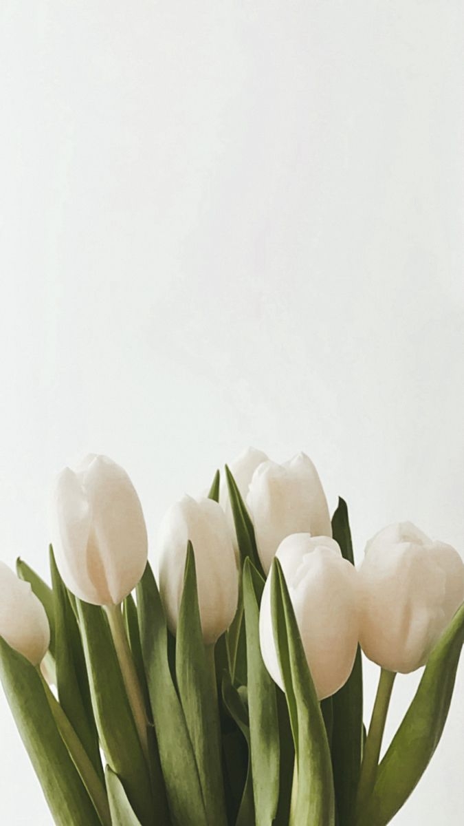 680x1200 Tulips. Vintage flowers wallpaper, Phone