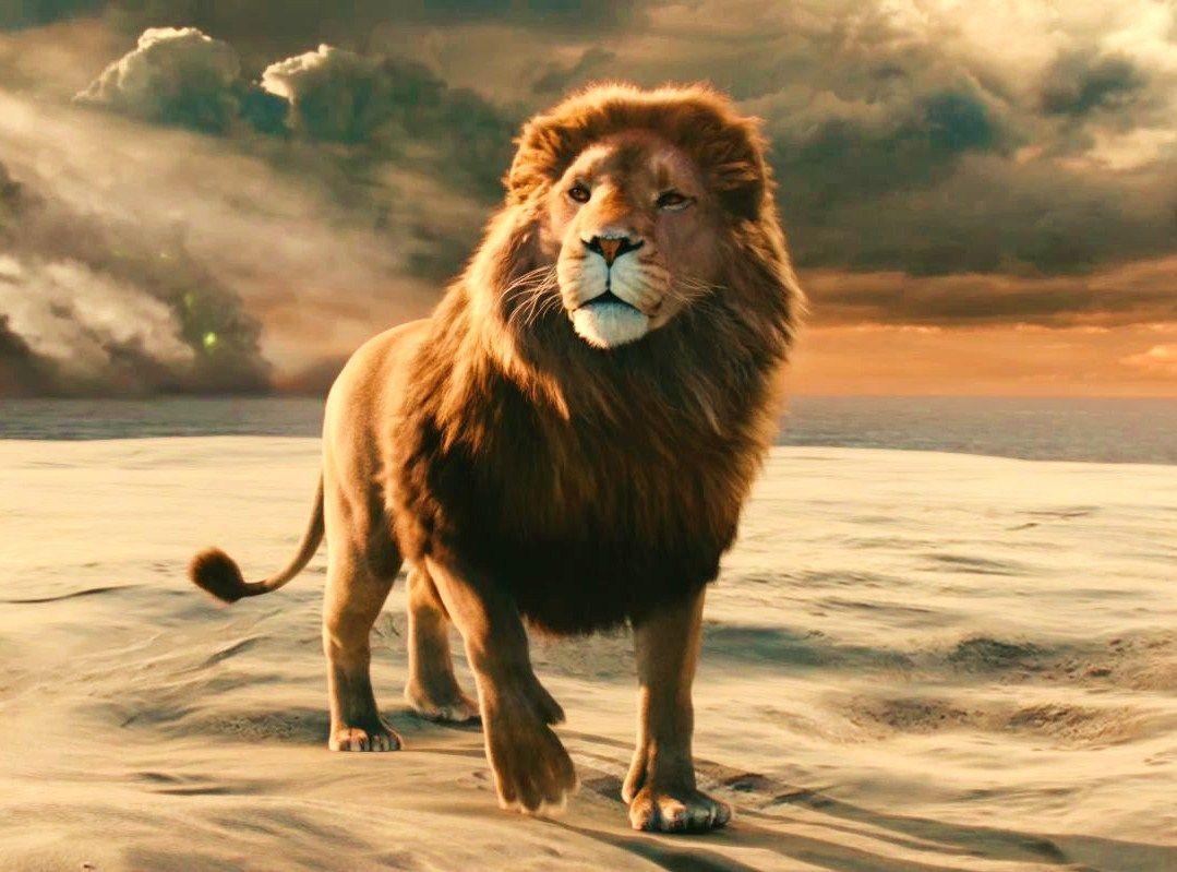 1080x800 Aslan In Narnia Dawn Treader, Movie Wallpaper, Desktop