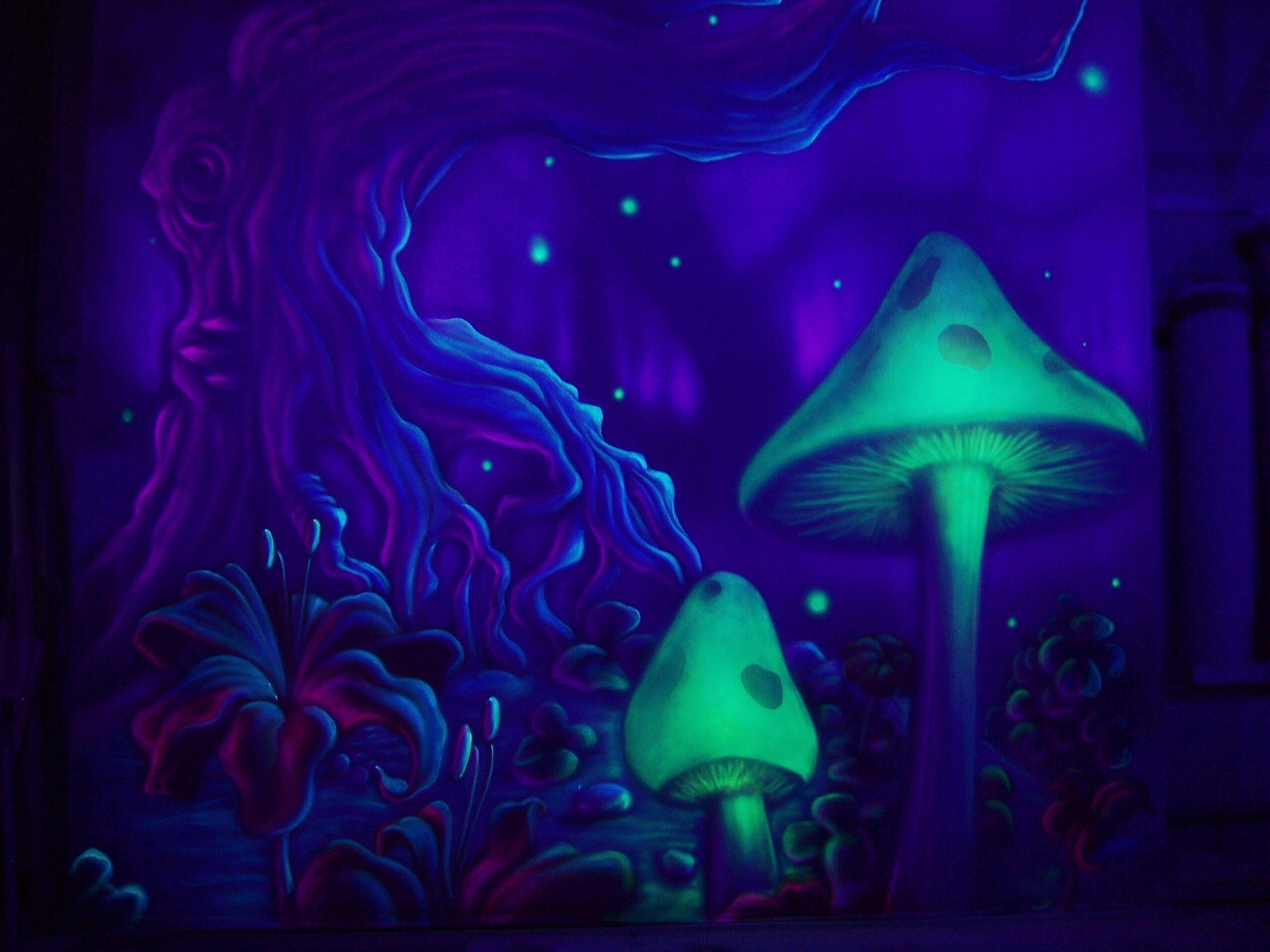 2560x1920 Mushroom Wallpaper For Desktop, Desktop