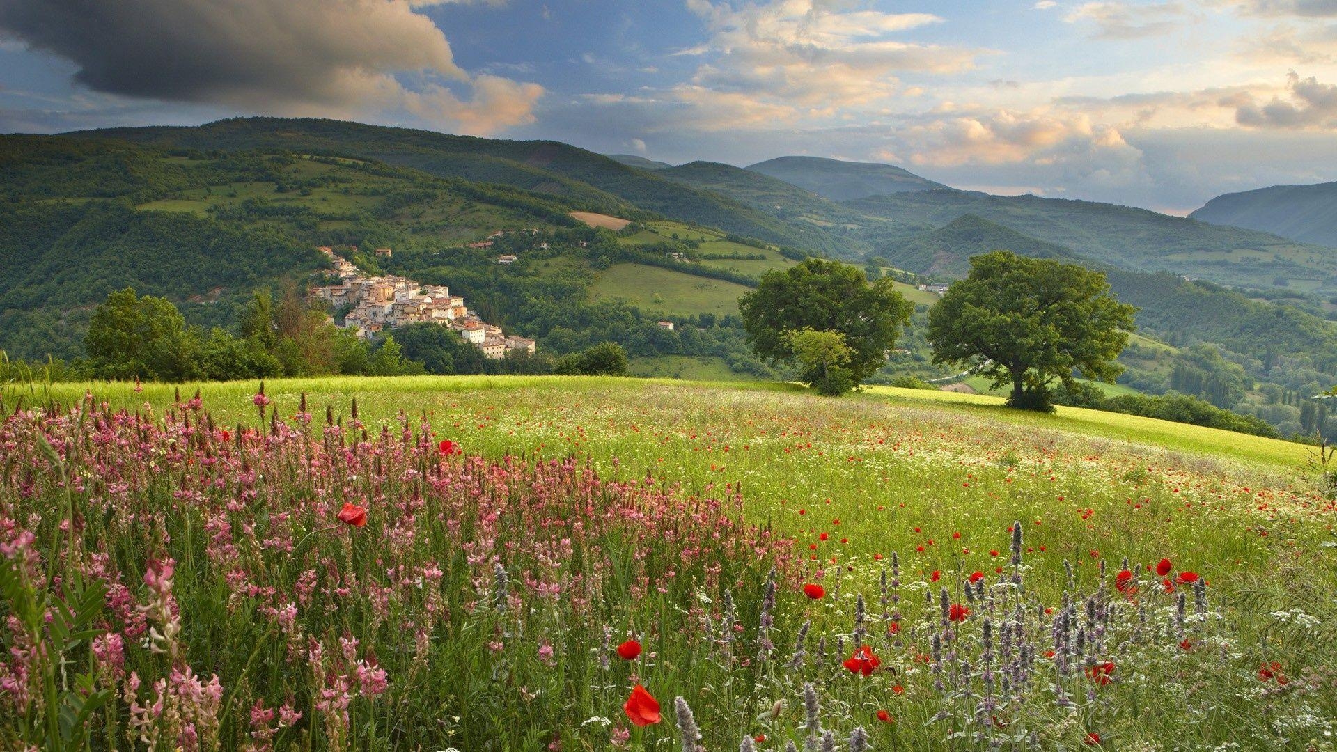 1920x1080 Download Meadow HD Wallpaper for Free, BsnSCB.com, Desktop