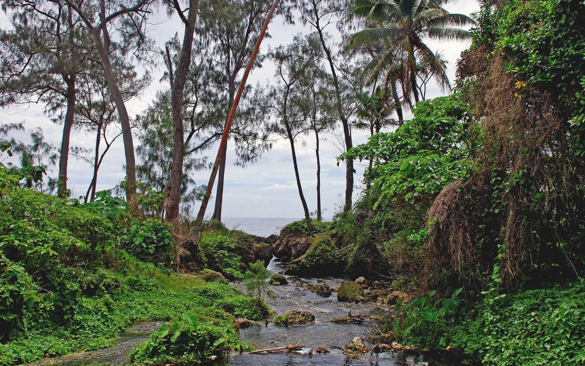 1920x1200 Cool Background Wallpaper Vanuatu, Desktop