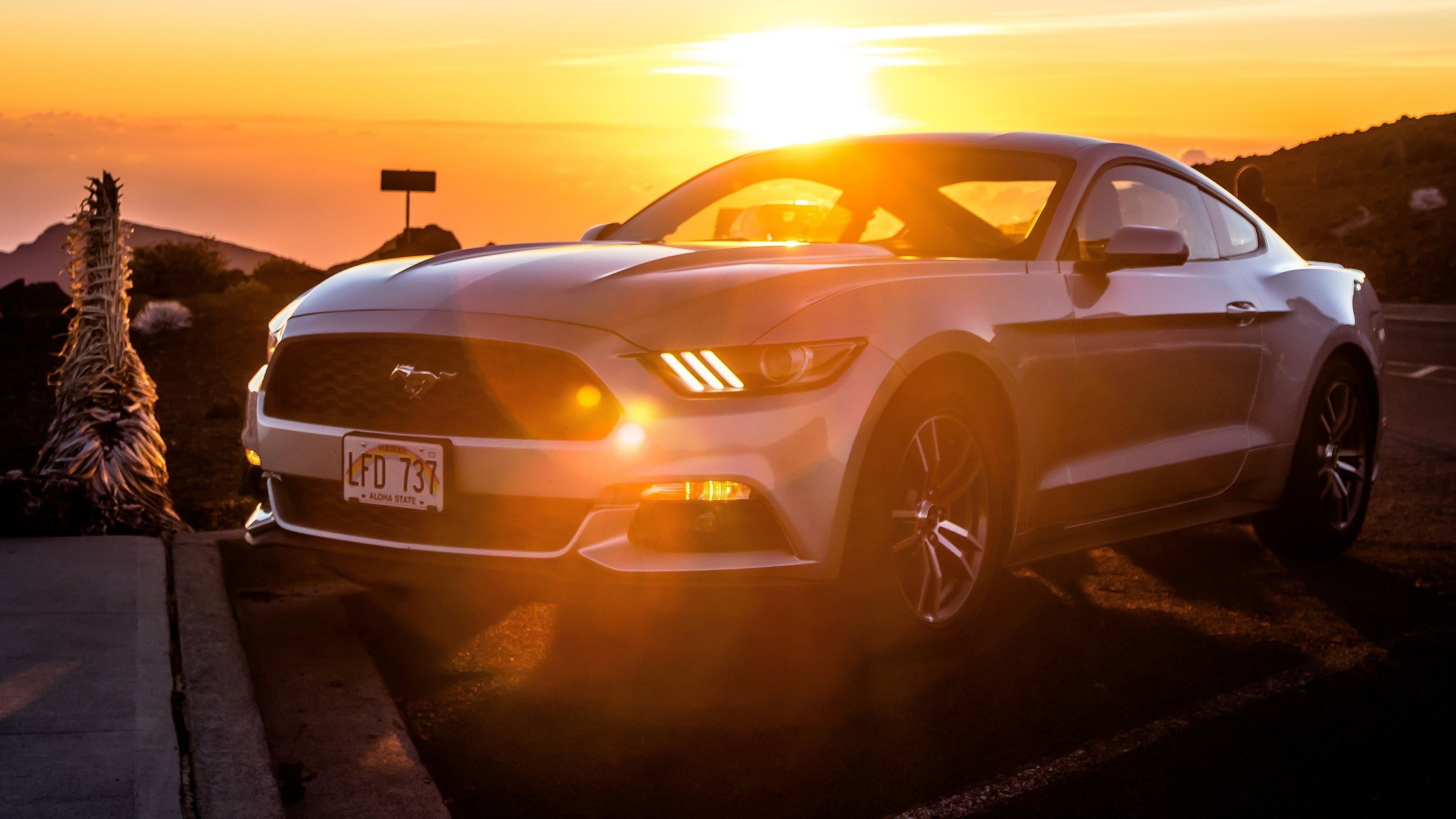 3840x2160 Ford Mustang 4k Ultra HD Wallpaper Mustang 2019, Desktop