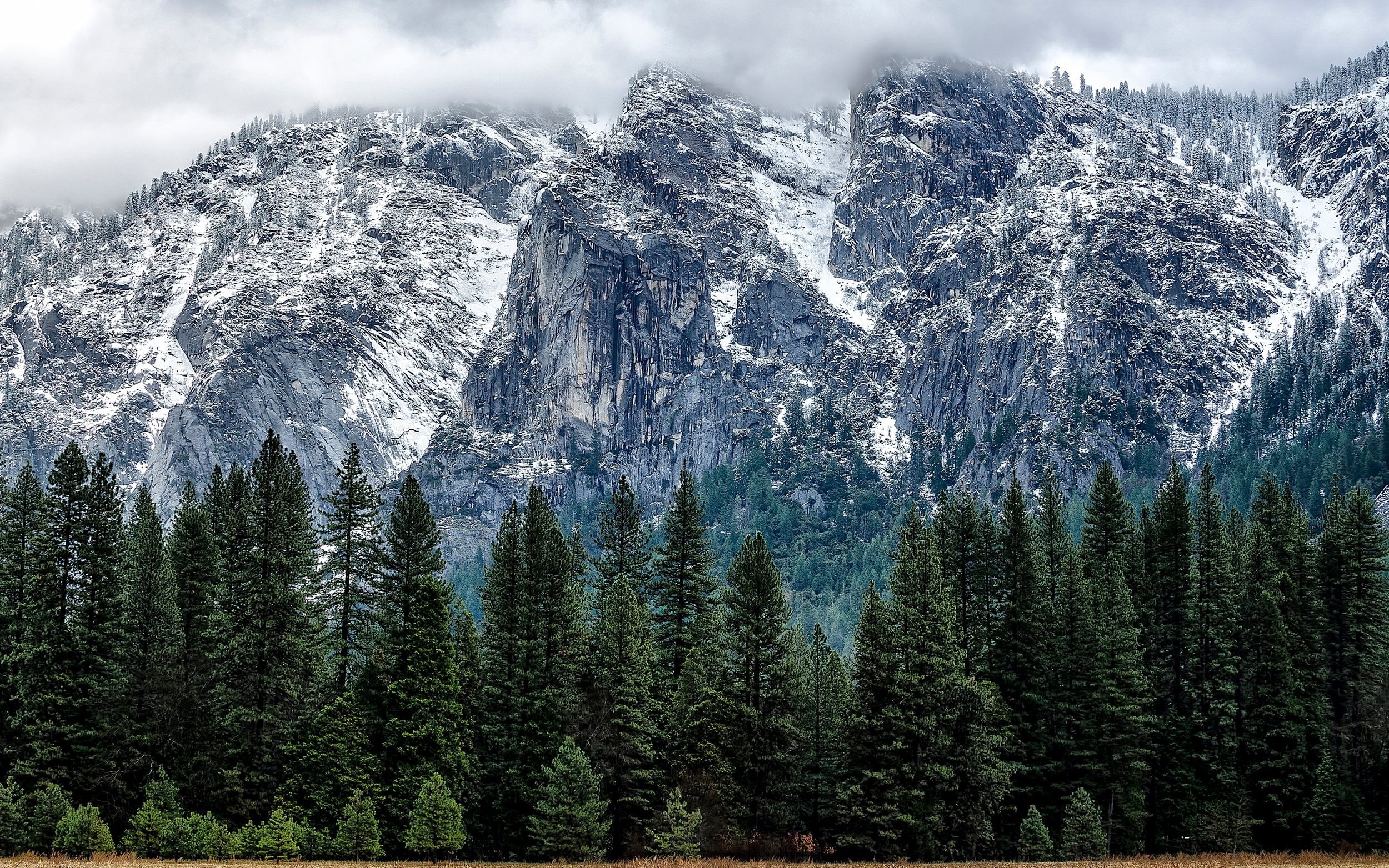 2500x1570 Thank Apple's OS X Yosemite Announcement For This Collection Of Desktop & iPhone WallPapers, Desktop