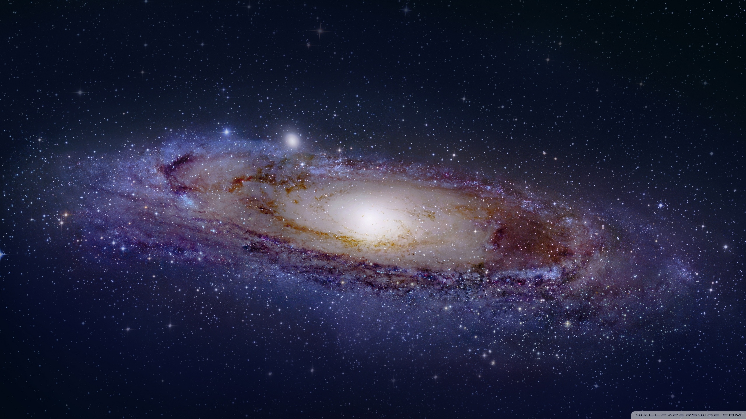 2560x1440 Andromeda ❤ 4K HD Desktop Wallpaper for 4K Ultra HD TV • Dual, Desktop