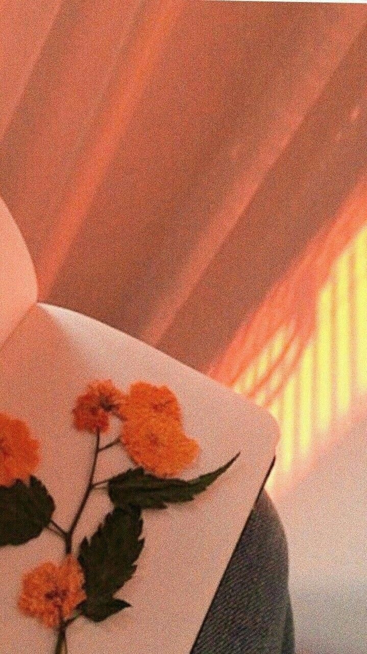 720x1280 astheticwallpaperiphoneminimal. Orange aesthetic, Peach aesthetic, Aesthetic colors, Phone