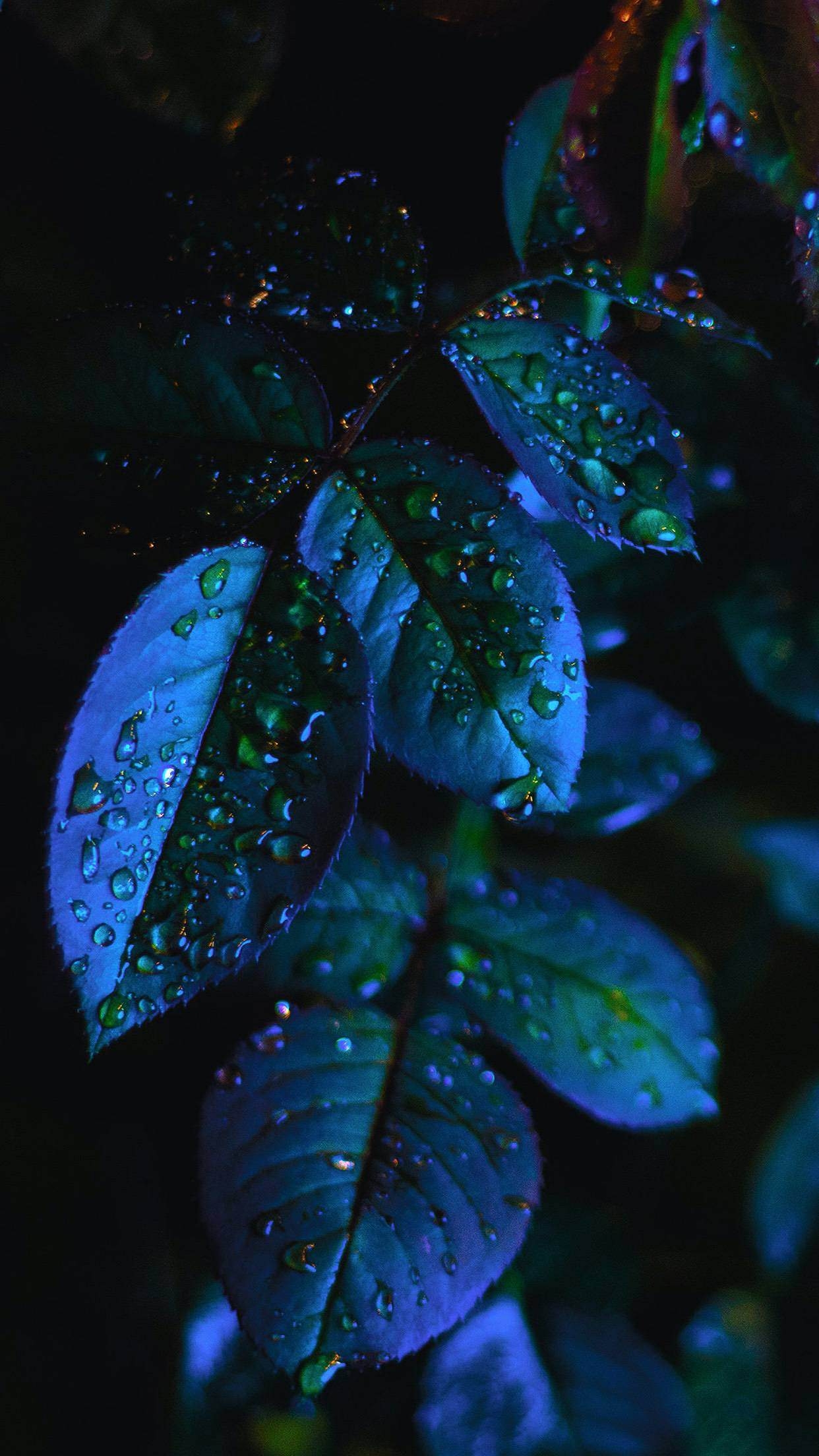 1250x2210 Beautiful iPhone X Wallpaper Featuring Leaves And Plants, Phone