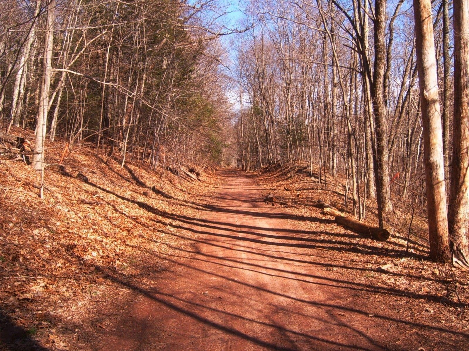 1600x1200 Forests: Quinnipiac River Gorge Rail Trail Connecticut Blue Sky Path, Desktop