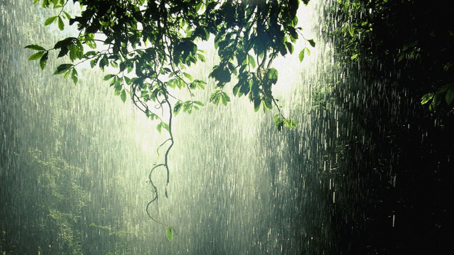 1540x870 Rain Wallpaper and Background, Desktop