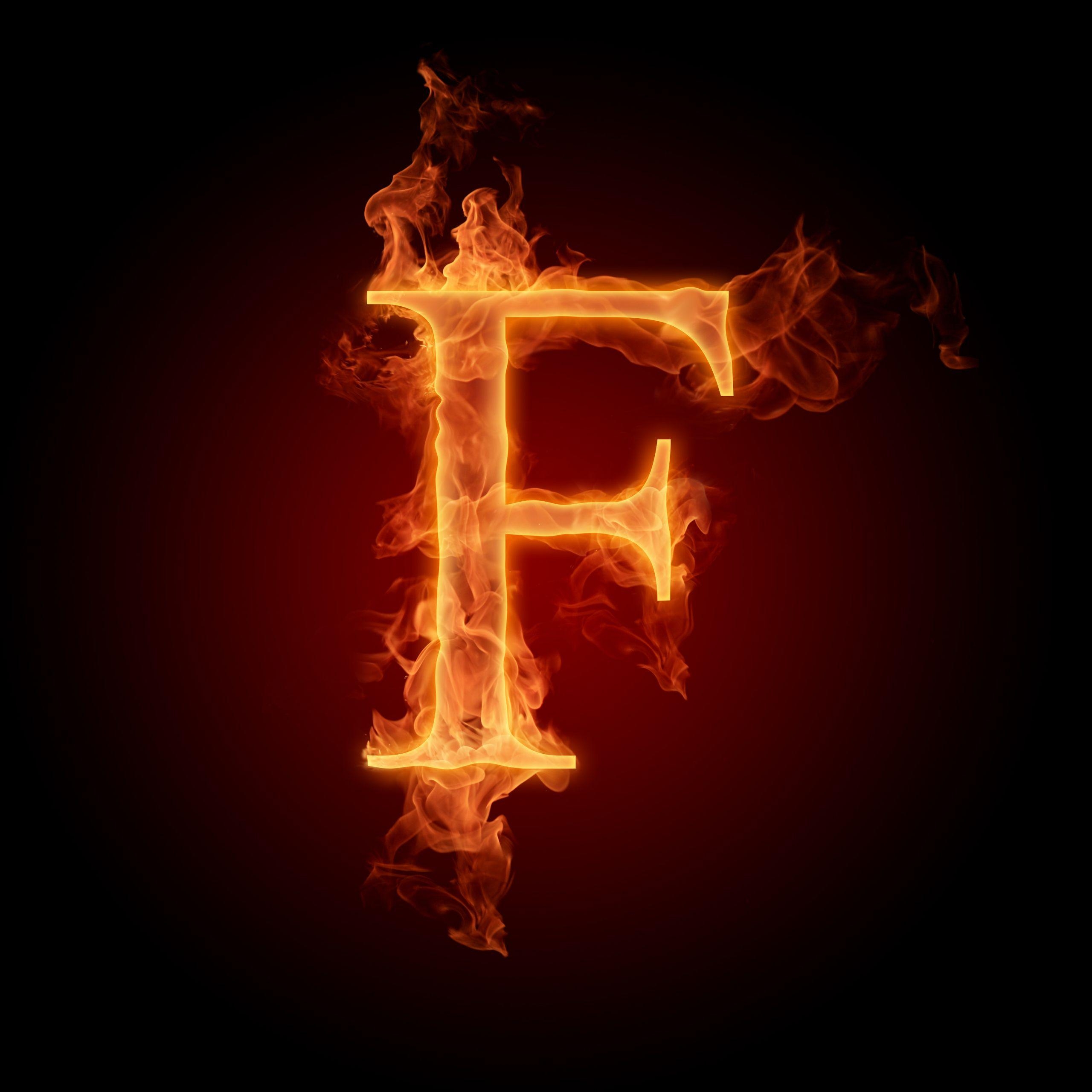 2560x2560 The Alphabet image The letter F HD wallpaper and background, Phone