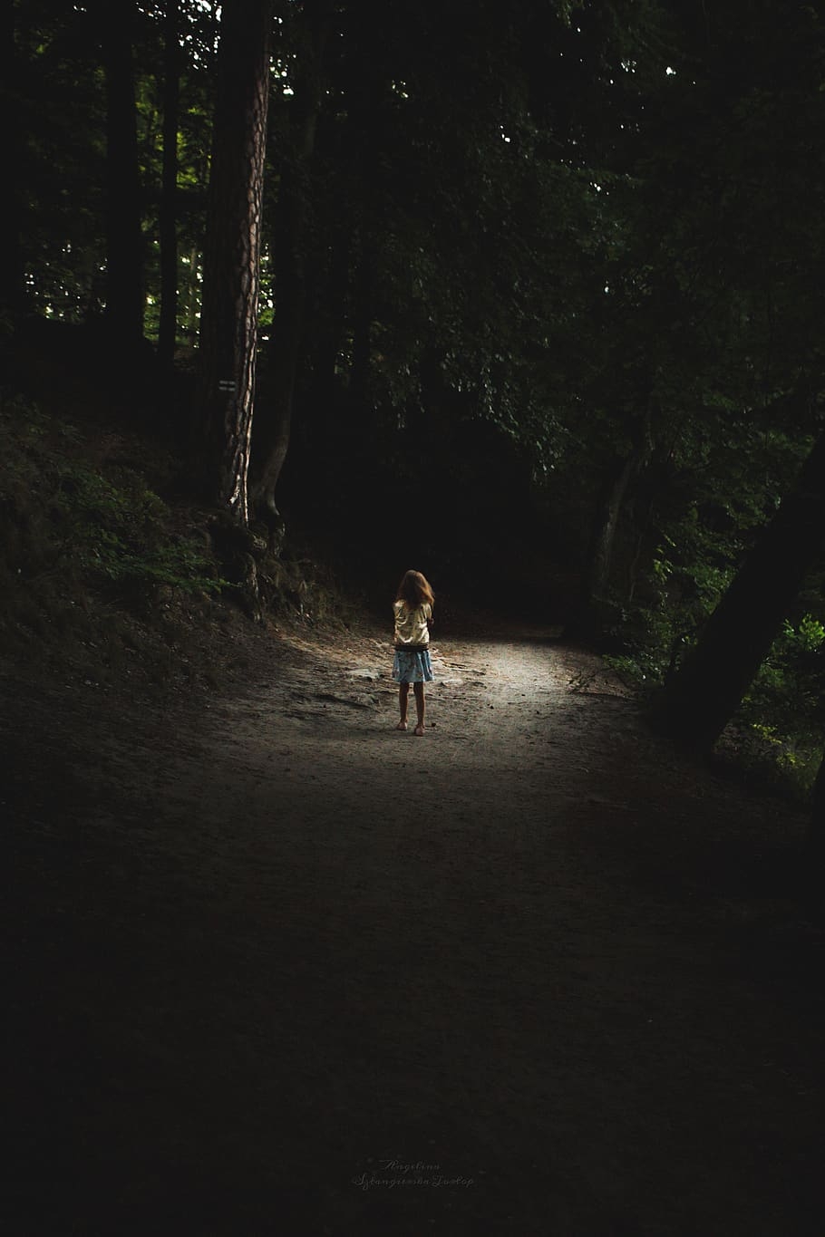 910x1370 HD wallpaper: forest, child, alone, dark, gloomy, scary, path, loneliness, Phone