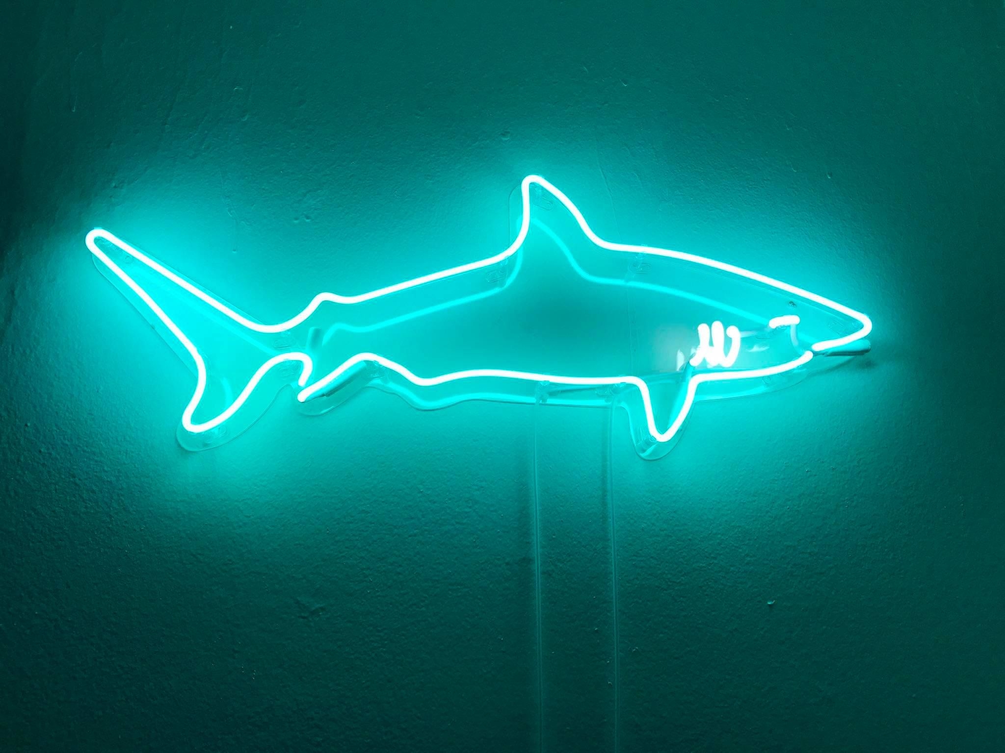 2050x1540 Neon Shark Wallpaper Free Neon Shark Background, Desktop