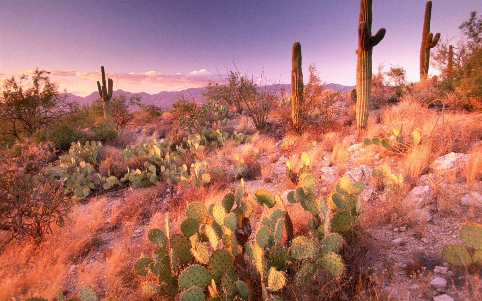 1680x1050 The 40 most stunning national parks in America. Park, Photo, Desktop