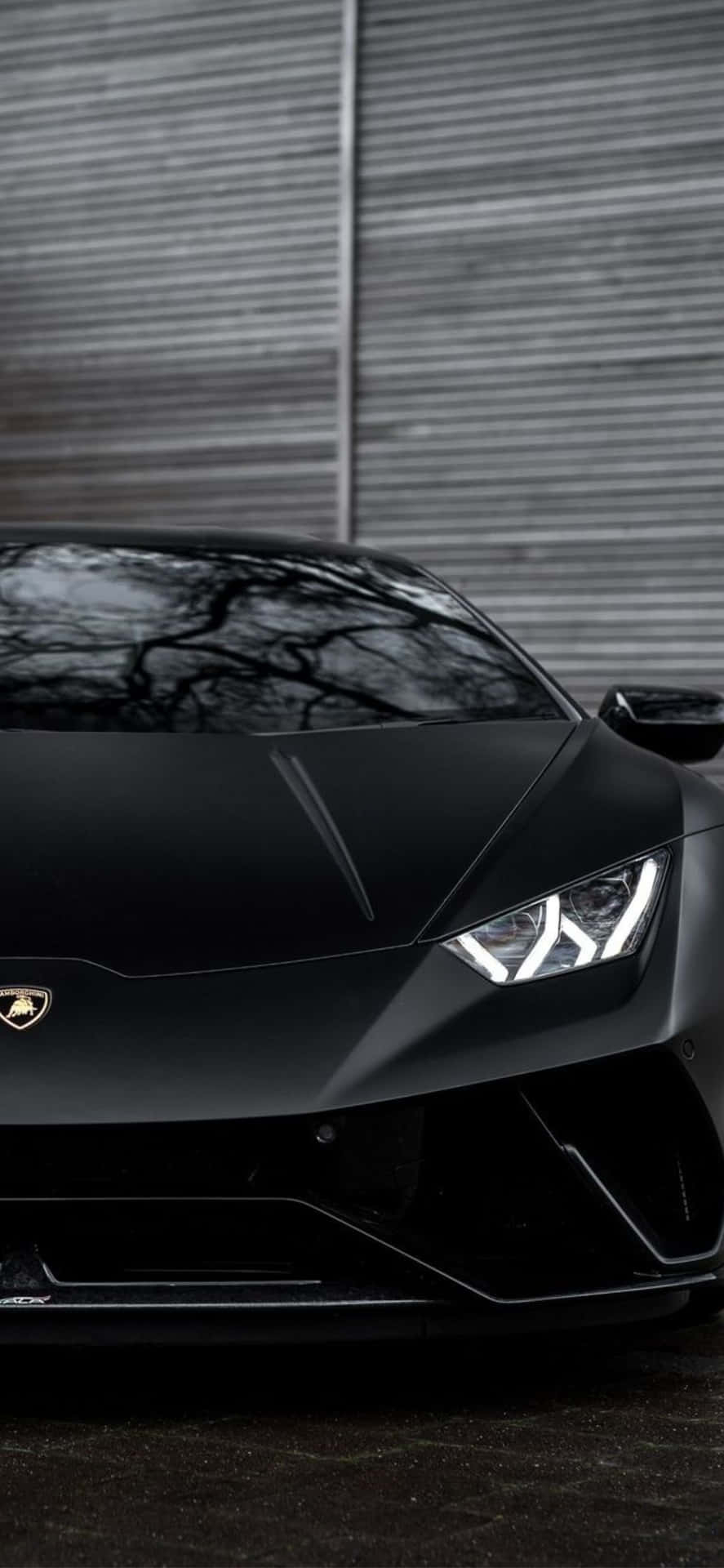 890x1920 Download iPhone XS Max Lamborghini Matte Black Background, Phone