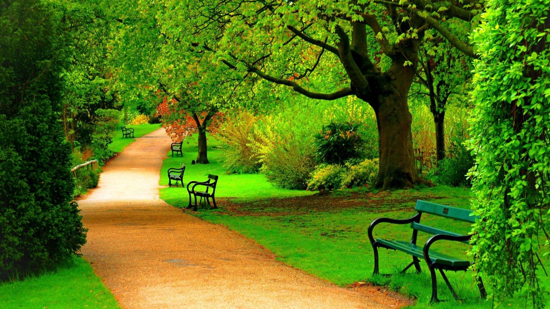 1920x1080 Best HD Walls of Green Park HD Widescreen Green Park Wallpaper, Desktop