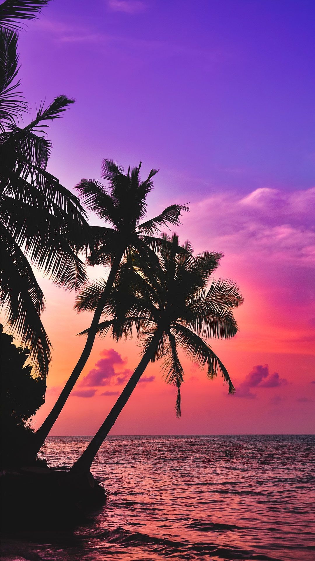 1080x1920 Beach wallpaper, Sunset wallpaper, Palm.com, Phone