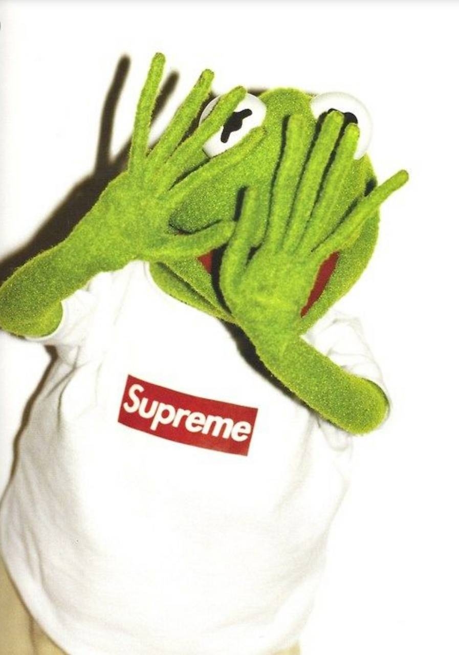 900x1280 Kermit Wallpaper by ZEDGE™, Phone