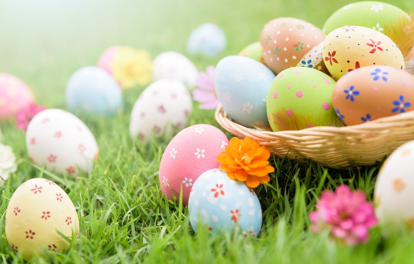 1340x850 Wallpaper grass, flowers, eggs, Easter, spring, Easter, eggs, decoration, pastel colors image for desktop, section праздники, Desktop