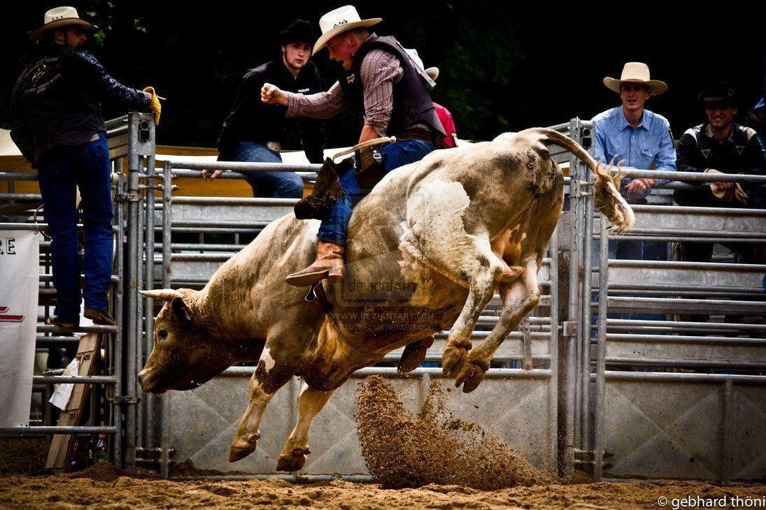 1100x730 Bull Riding Wallpaper. All Pc Wallpaper, Desktop