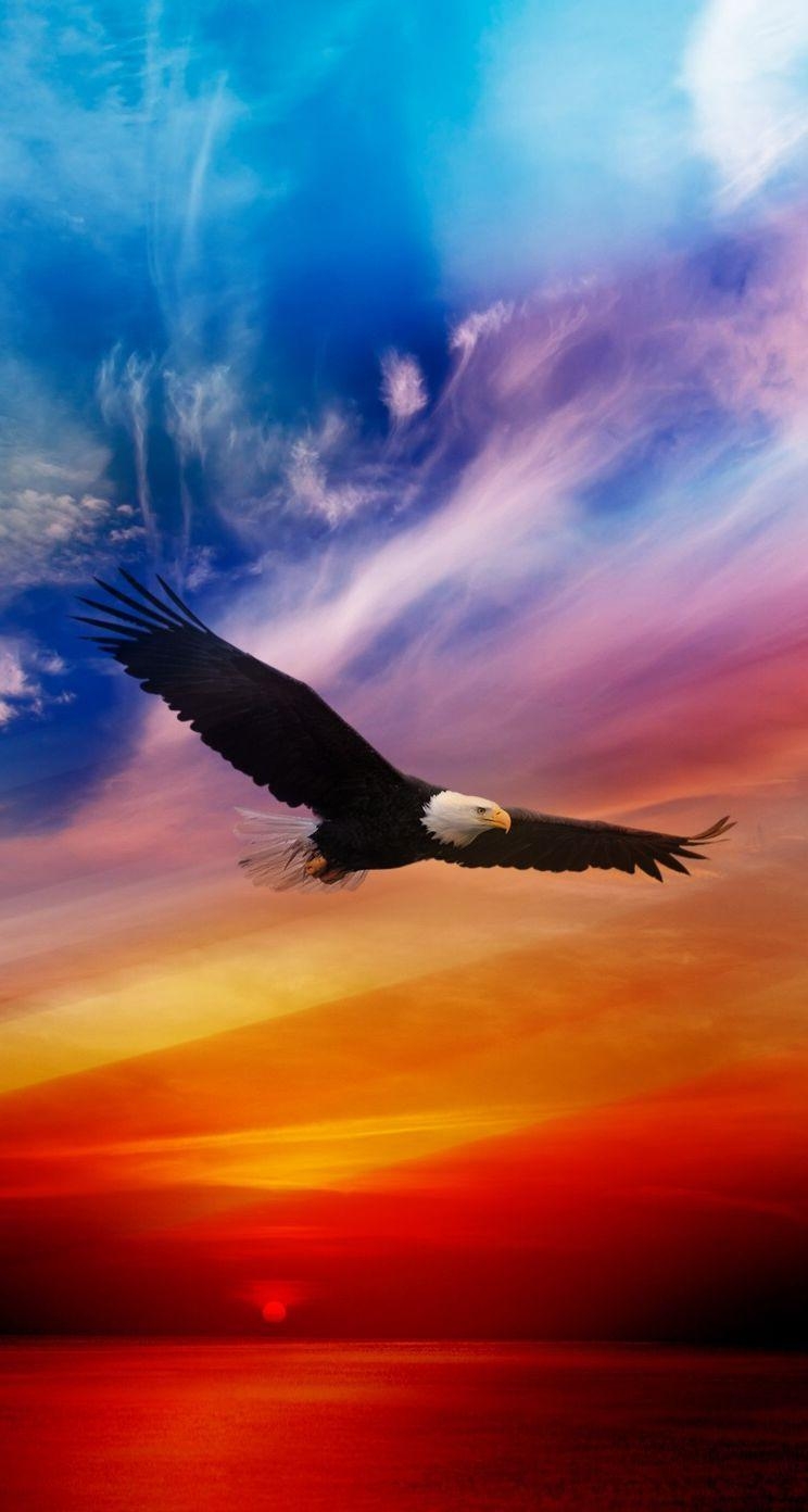 750x1400 Flying Eagle wallpaper. #bird #nature #scenery, Phone