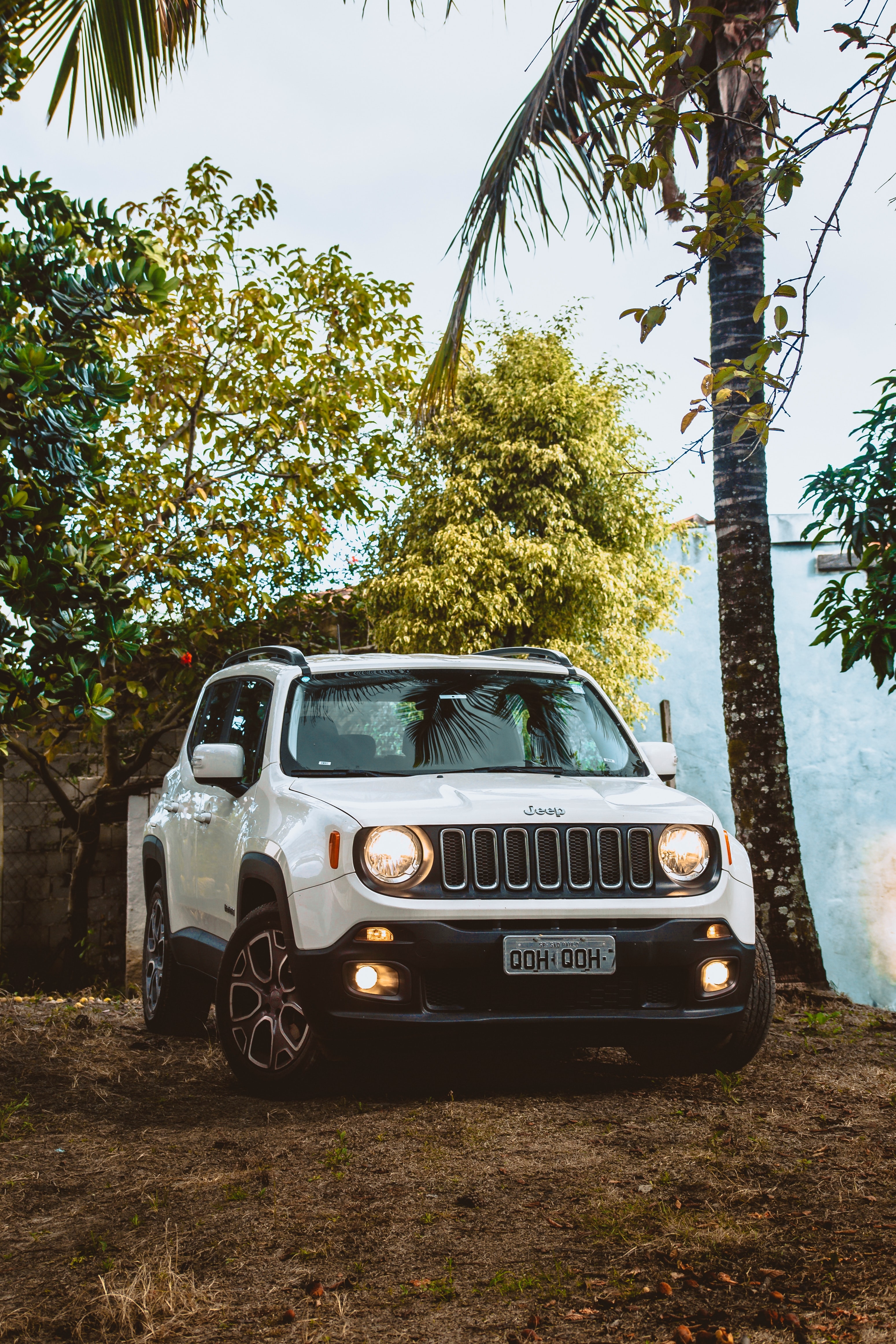 3100x4650 Download Jeep Renegade wallpaper for mobile phone, free Jeep Renegade HD picture, Phone