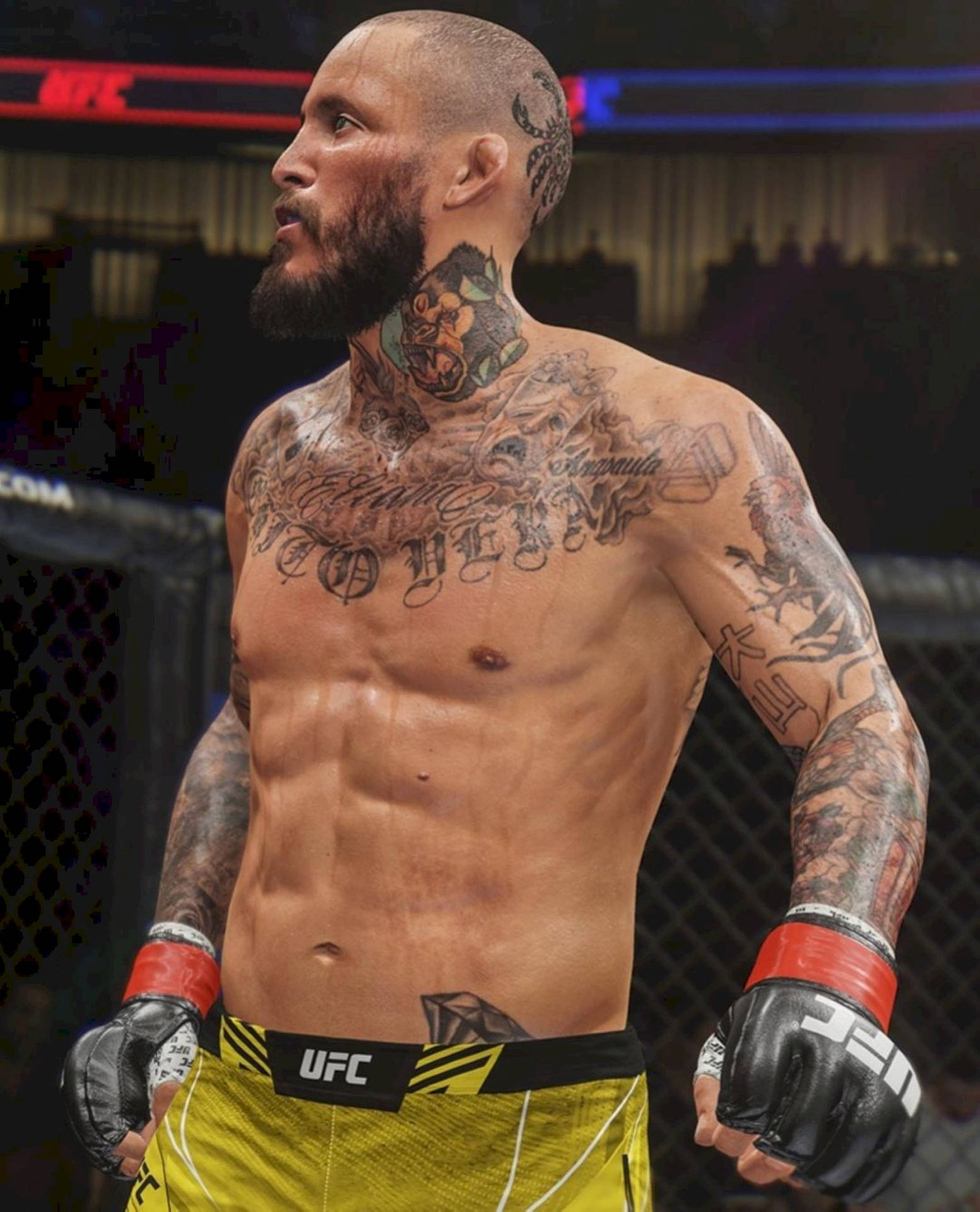 1560x1920 Marlon Vera UFC Champion Wallpaper, Phone