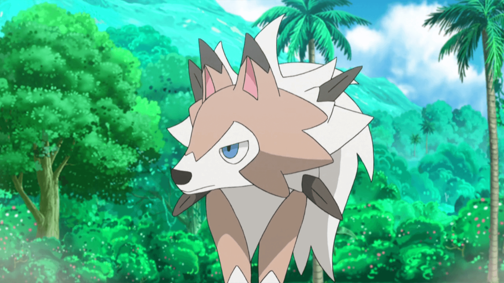 1920x1080 Serena's Lycanroc. PokéFanon, Desktop