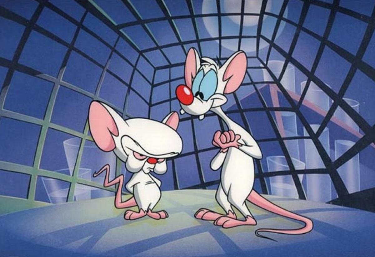 1200x830 px 251.52 KB Pinky And The Brain, Desktop