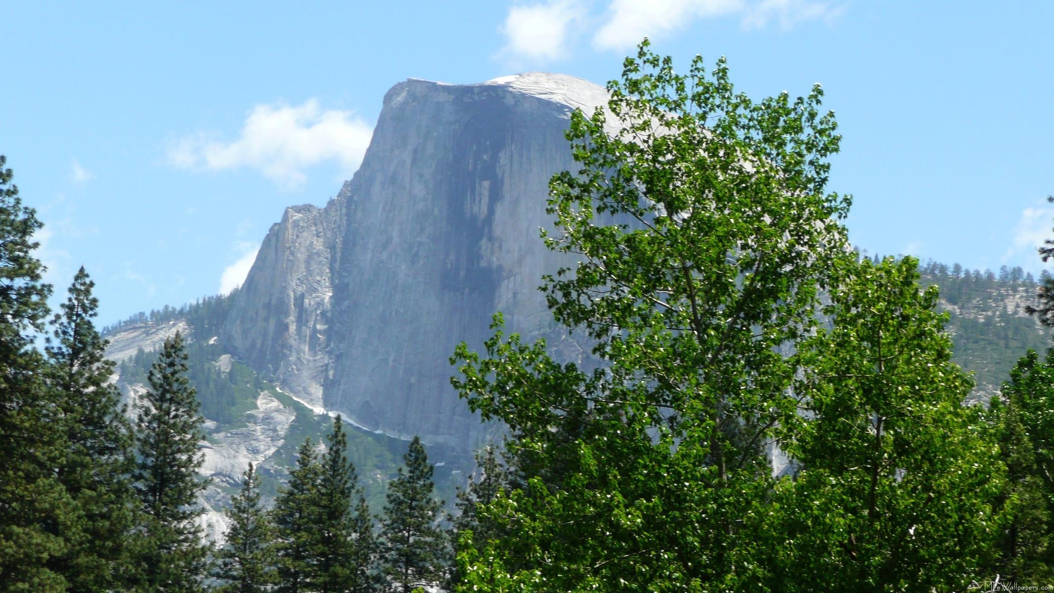 2140x1200 MLe Dome in Summer, Desktop