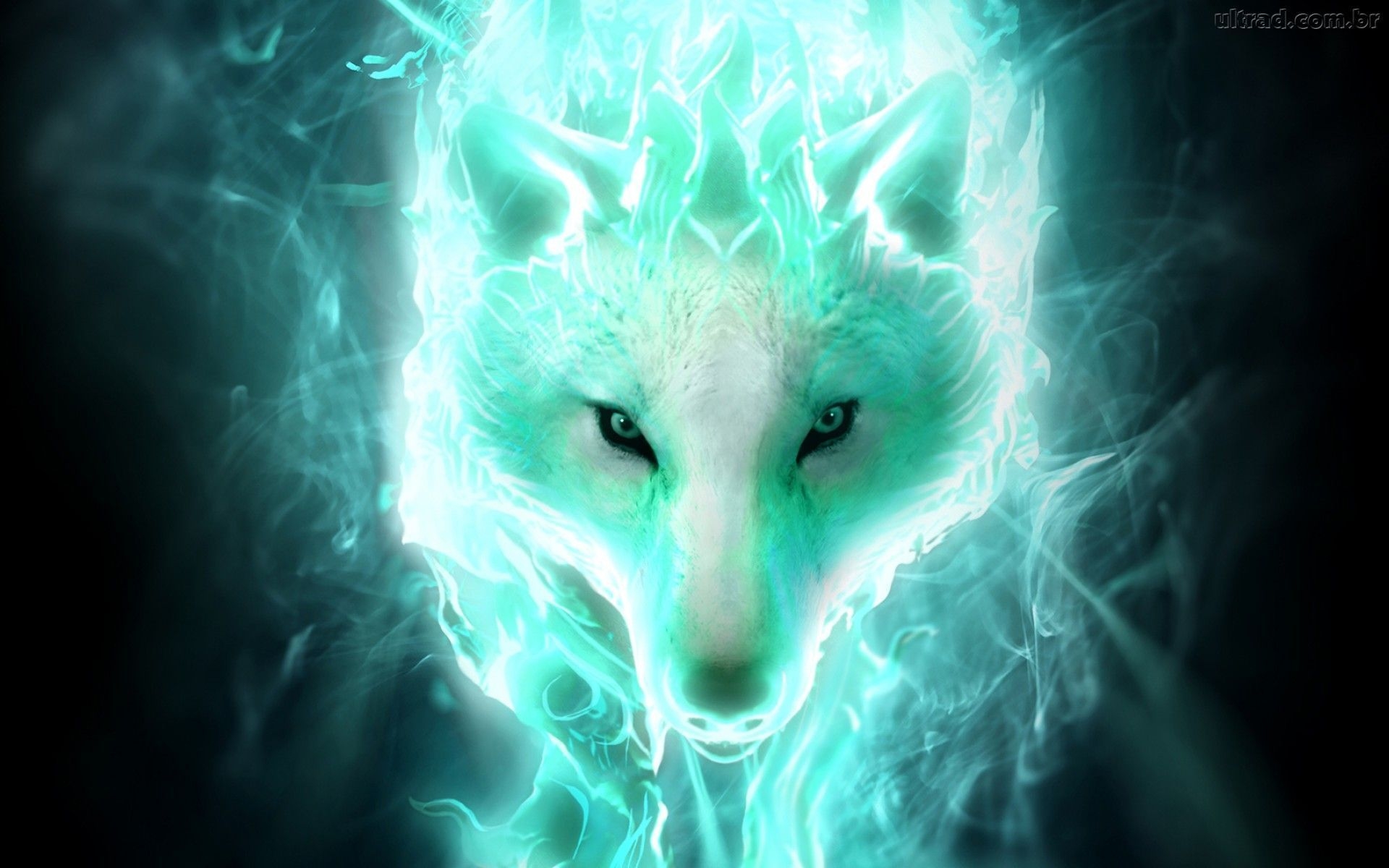 1920x1200 Lightning Wolf Wallpaper Free Lightning Wolf Background, Desktop