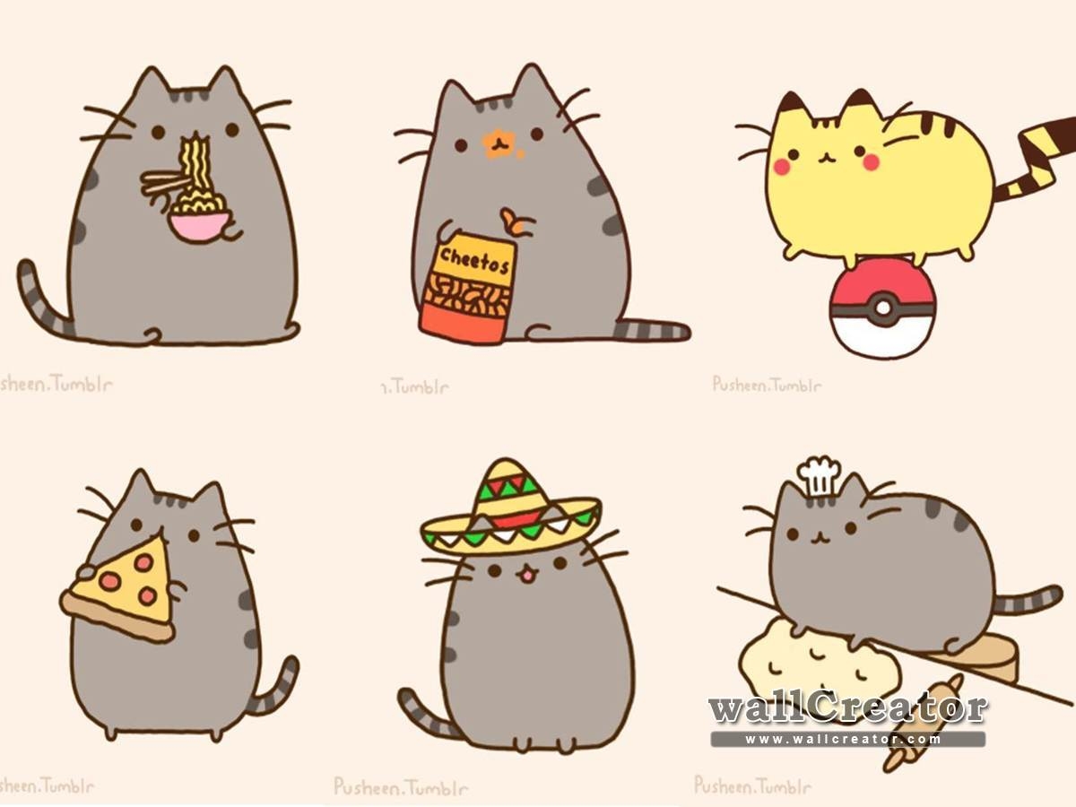 1200x900 best image about Pusheen Cat ღ. Cats, Donuts, Desktop