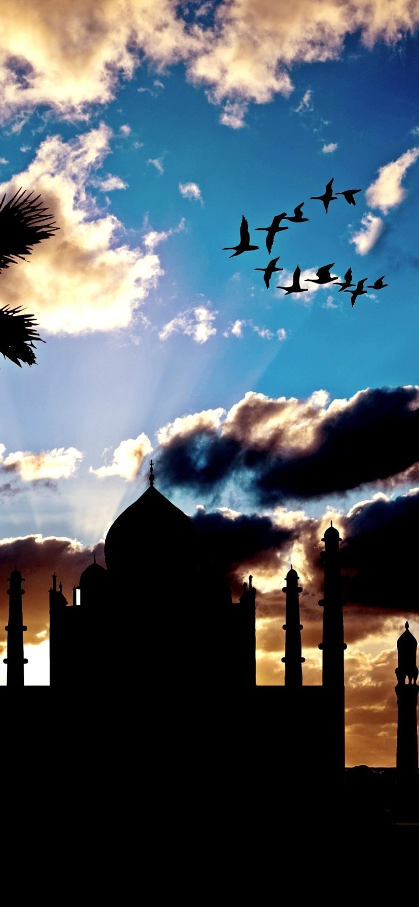 830x1800 Free Islamic iPhone 11 Wallpaper.com Blog, Phone