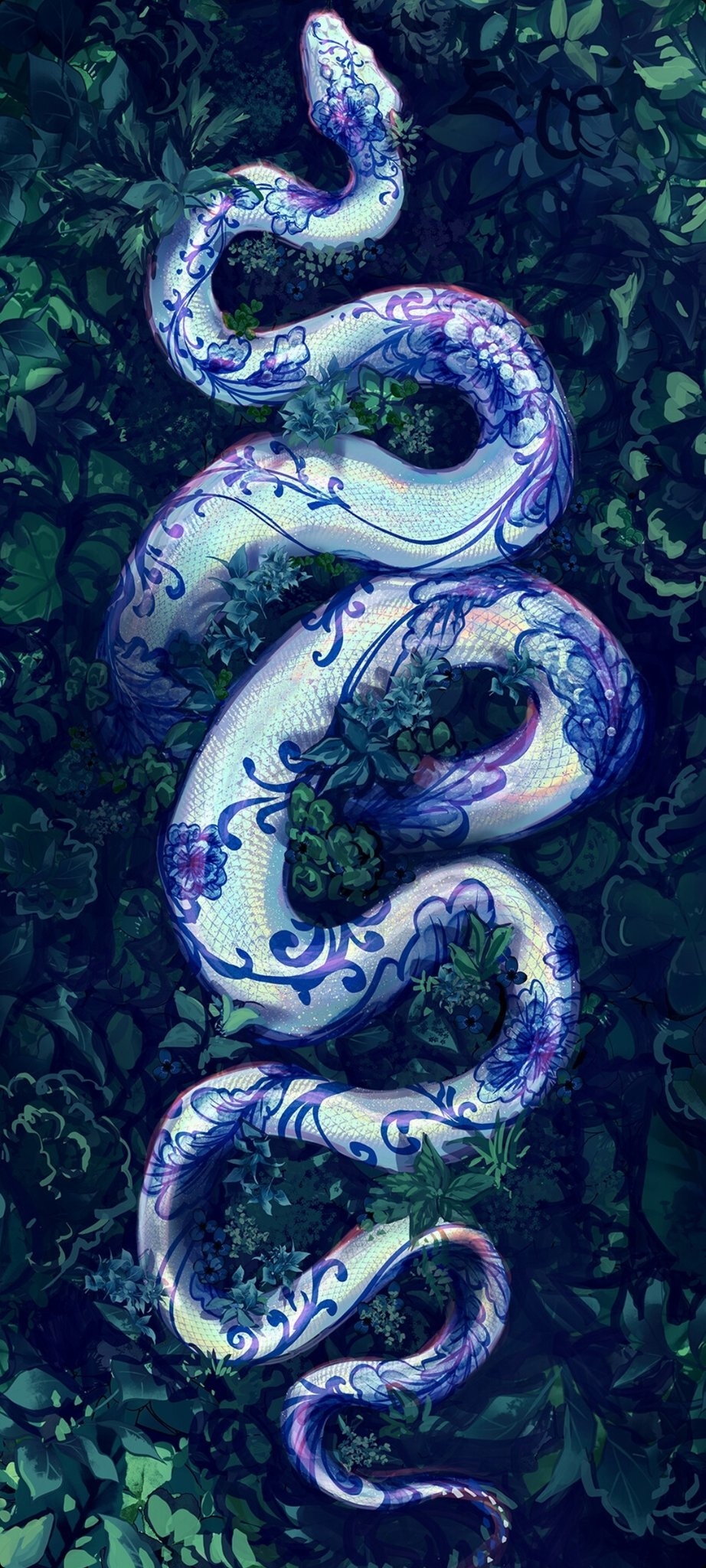 930x2050 Snake Mobile Wallpaper, HD Snake Background, Free Image Download, Phone