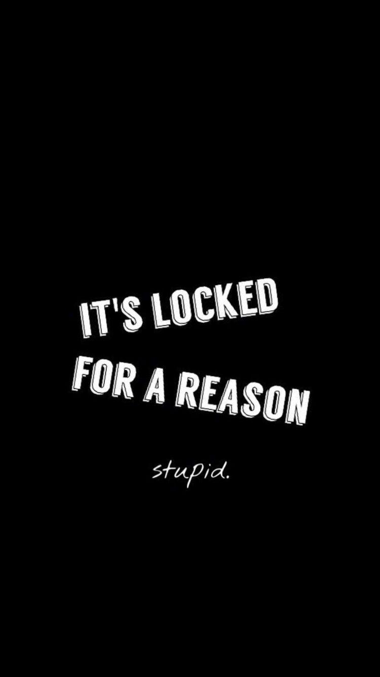 750x1340 It's Locked For A Reason Stupid iPhone 6 Wallpaper. iPhone, Phone