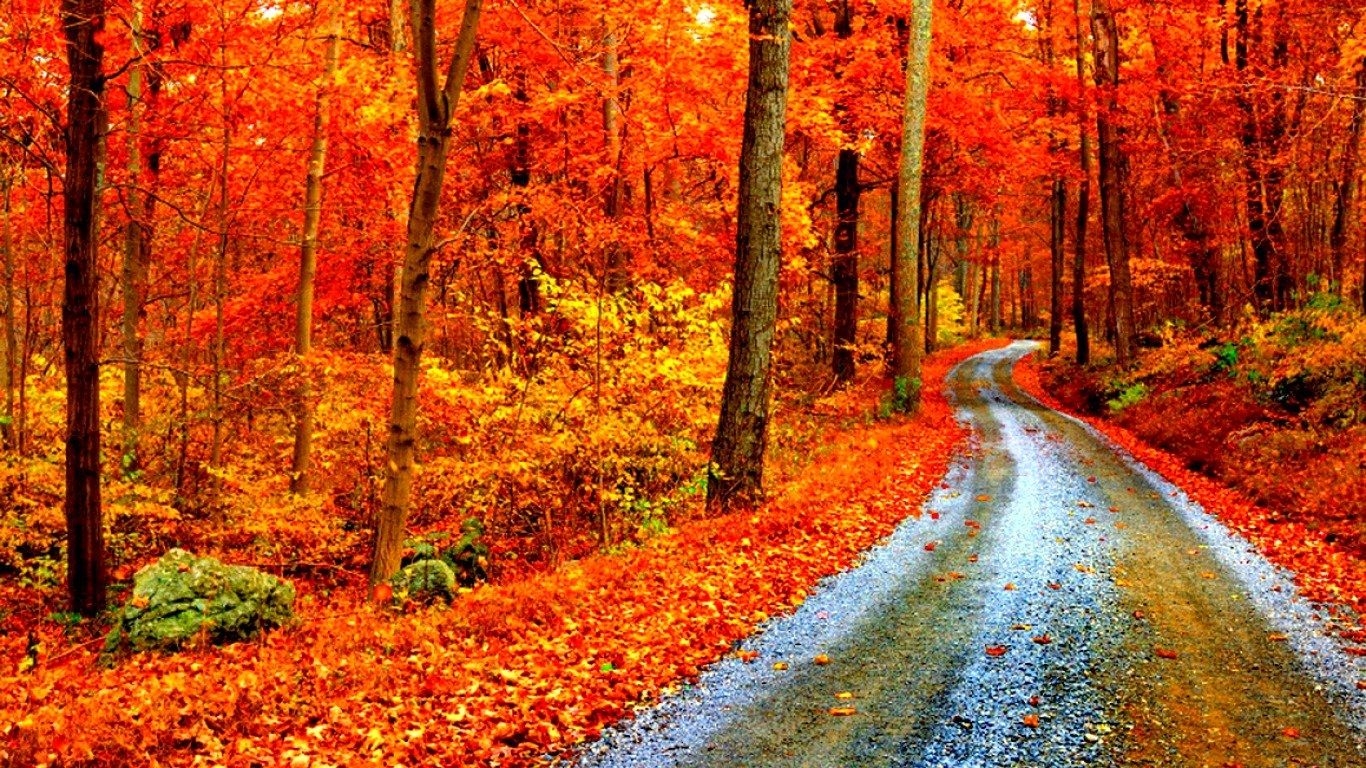 1370x770 New Fall Laptop Background This Year, Desktop