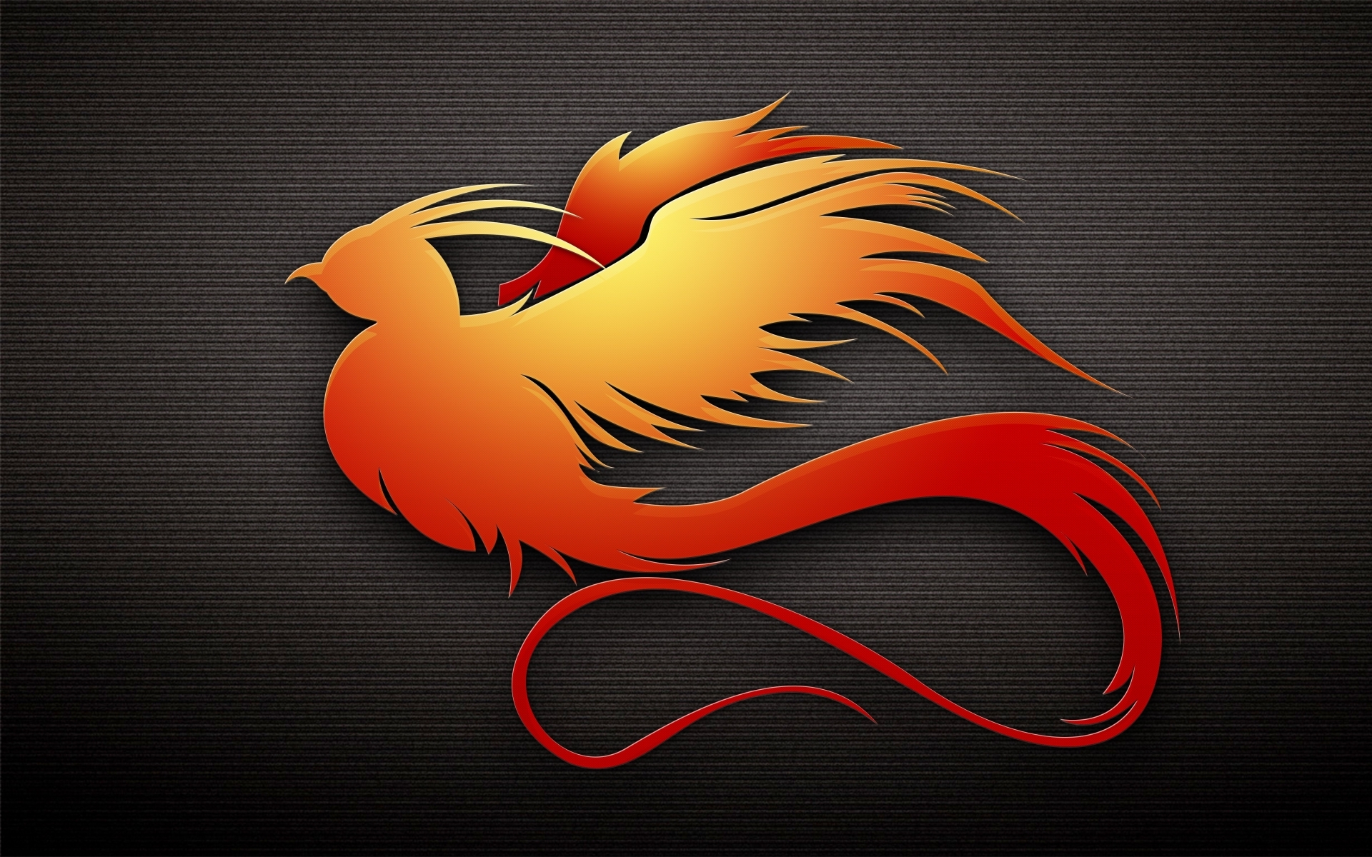 1920x1200 Orange Bird wallpaper. Orange Bird, Desktop